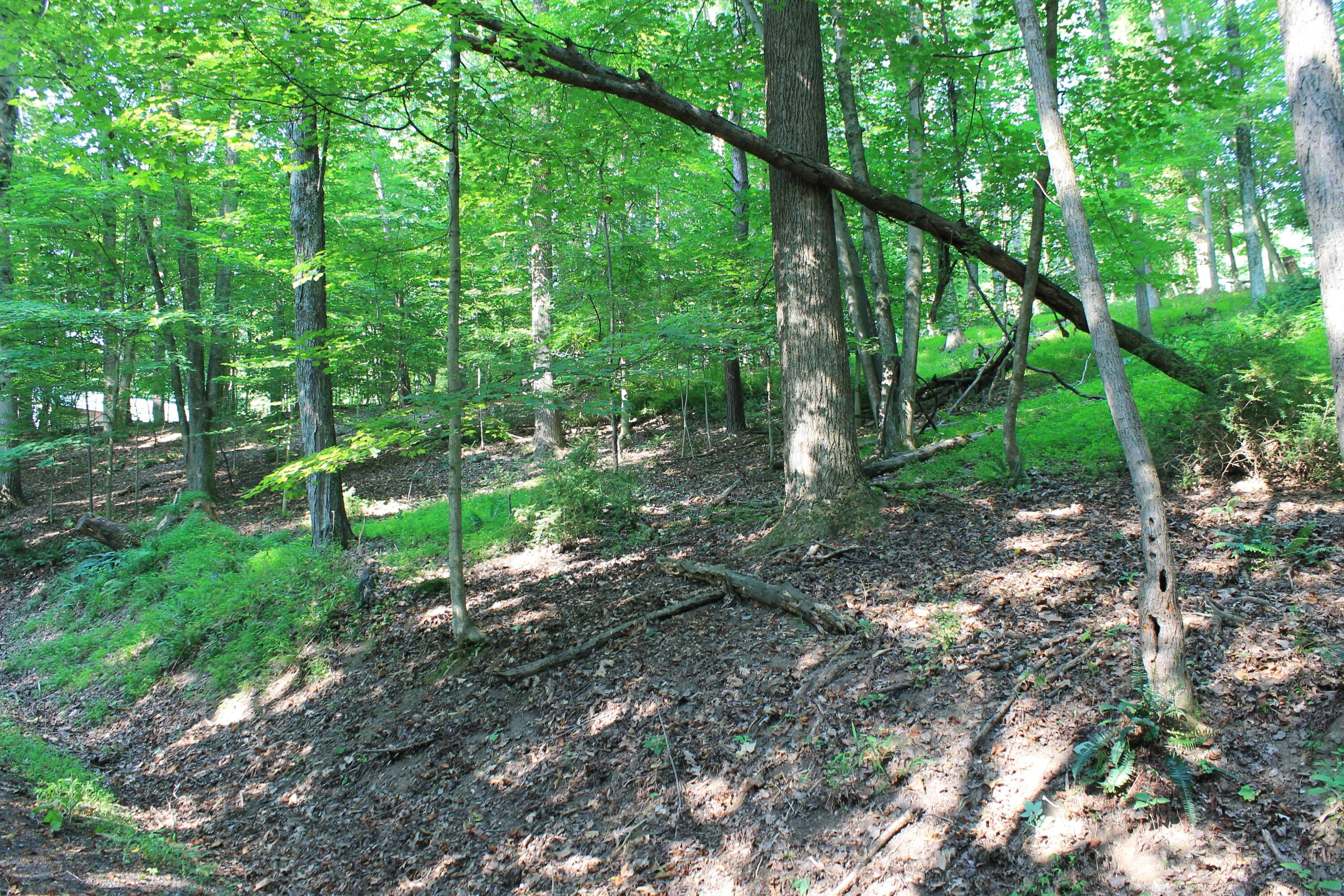 408 Mohican Lane, Sugar Grove, Ohio image 7