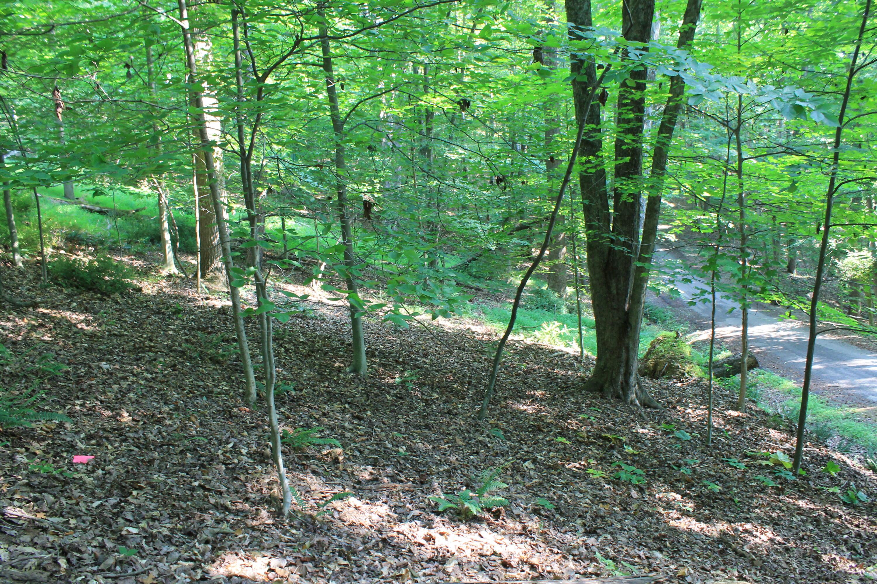408 Mohican Lane, Sugar Grove, Ohio image 6