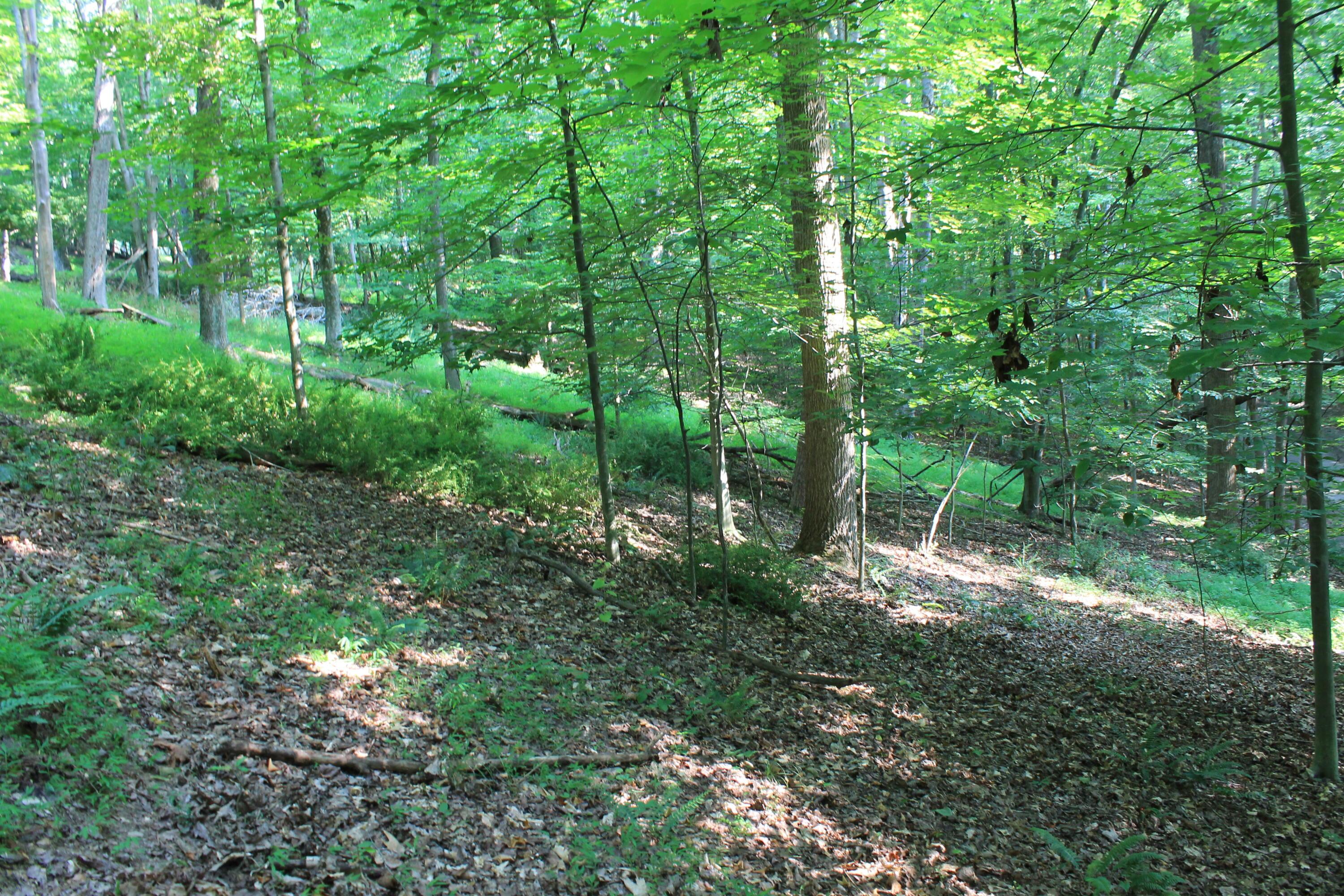 408 Mohican Lane, Sugar Grove, Ohio image 8