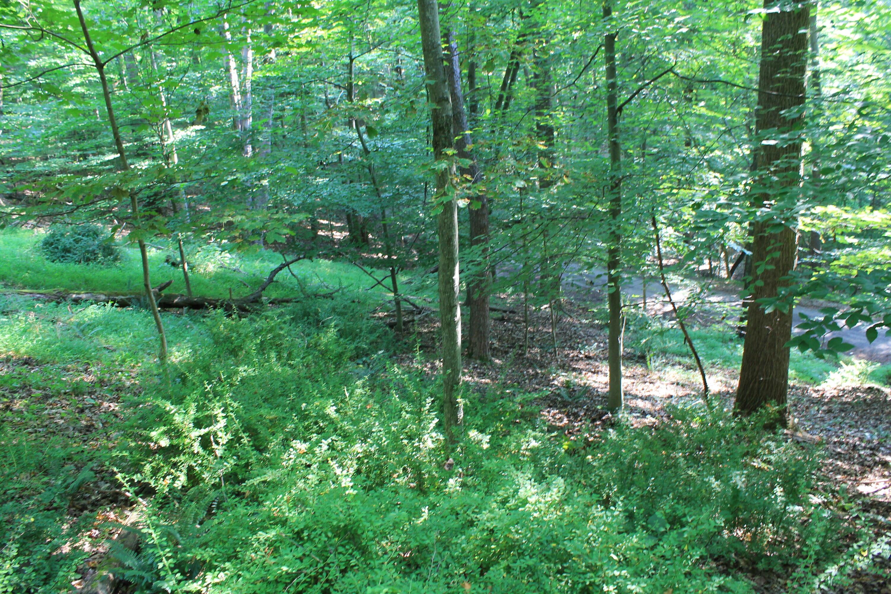 408 Mohican Lane, Sugar Grove, Ohio image 10