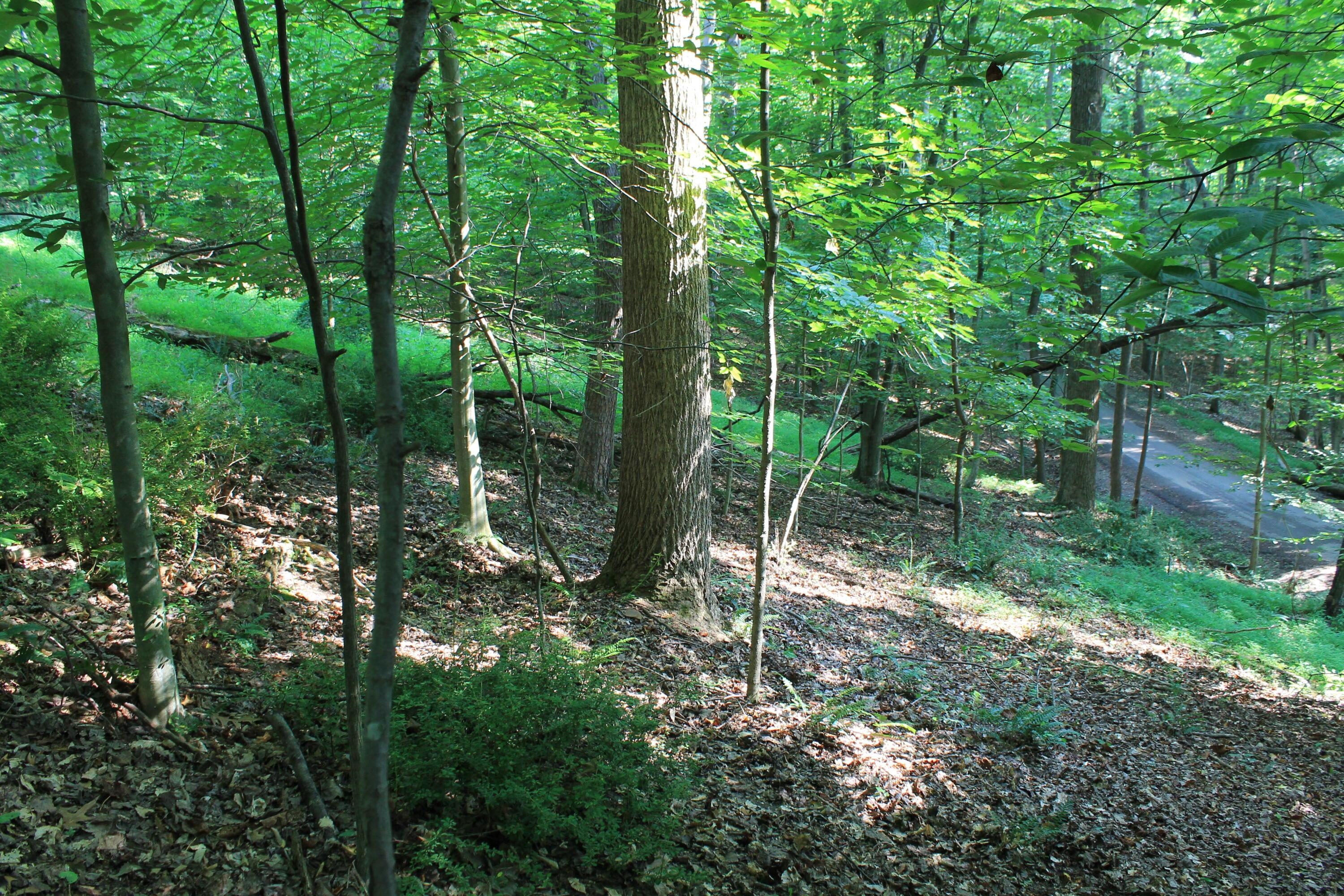 408 Mohican Lane, Sugar Grove, Ohio image 4