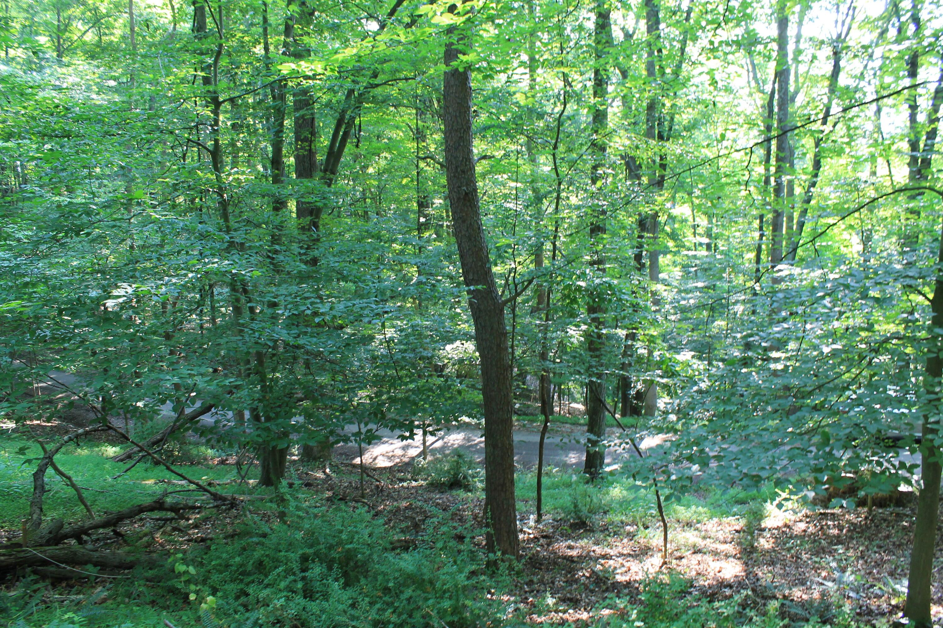 408 Mohican Lane, Sugar Grove, Ohio image 5