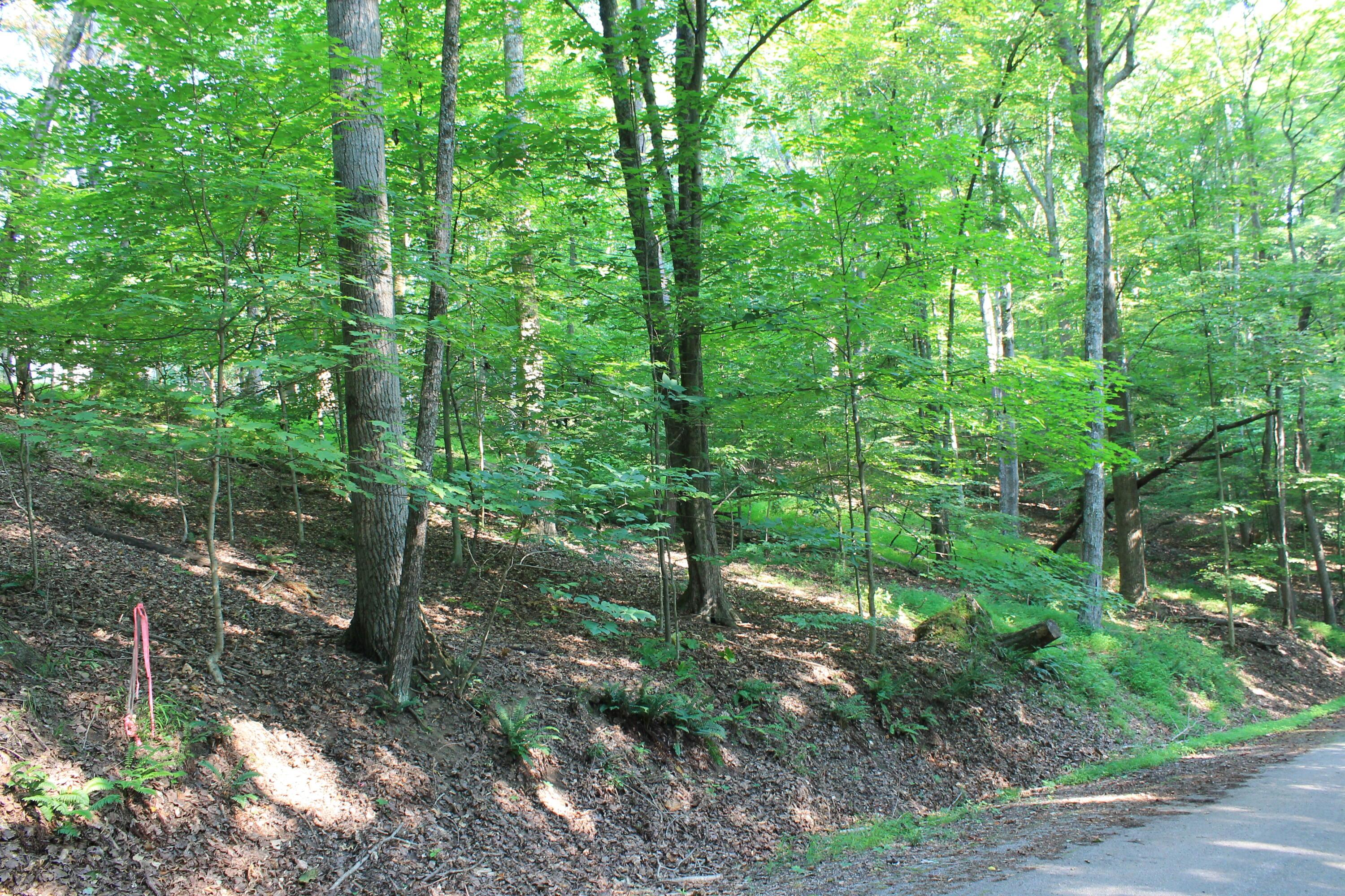 408 Mohican Lane, Sugar Grove, Ohio image 1