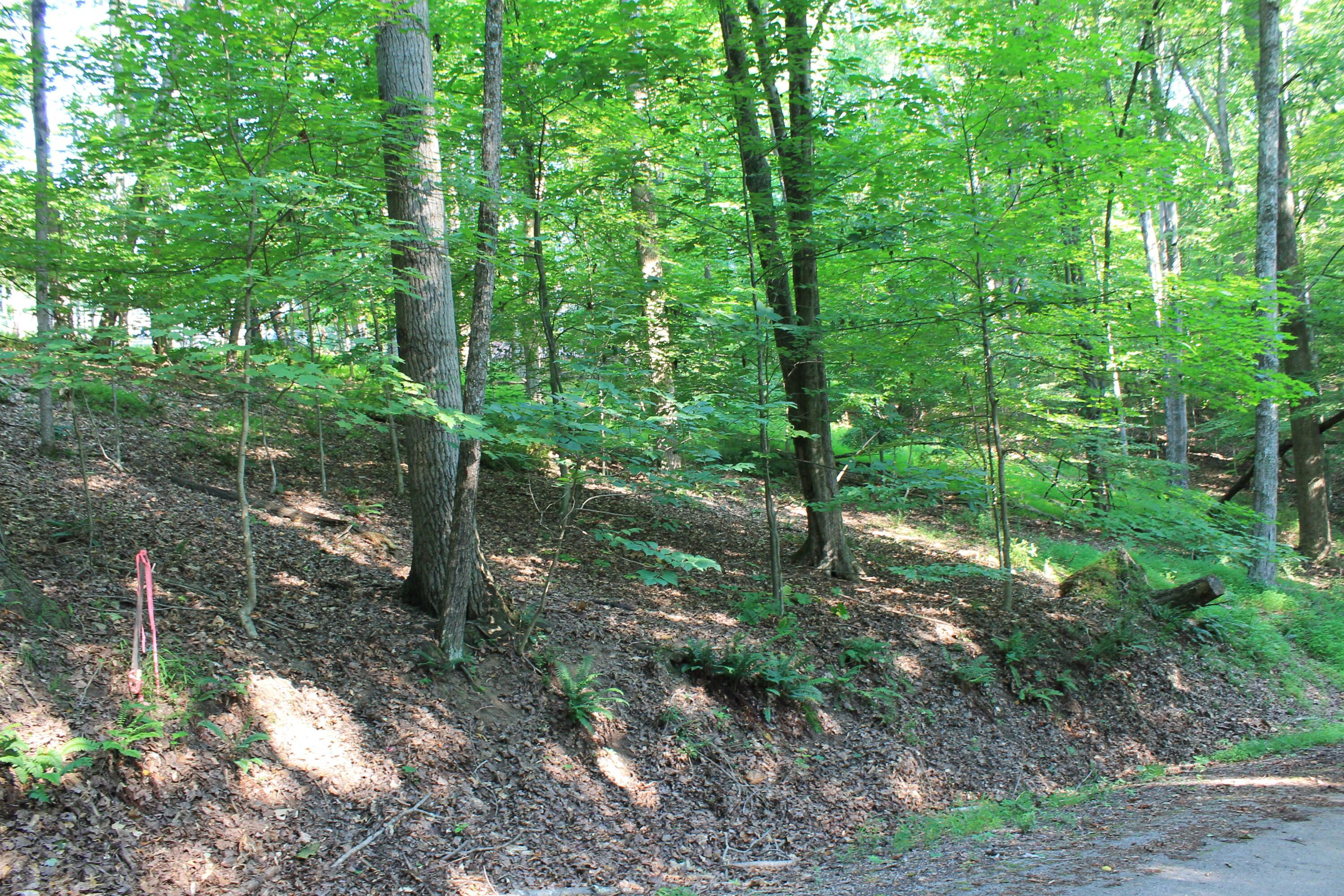 408 Mohican Lane, Sugar Grove, Ohio image 3