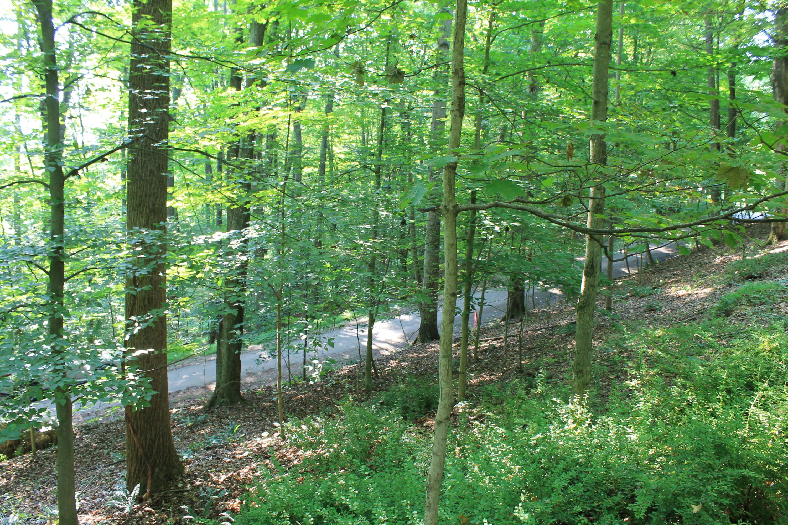 408 Mohican Lane, Sugar Grove, Ohio image 11
