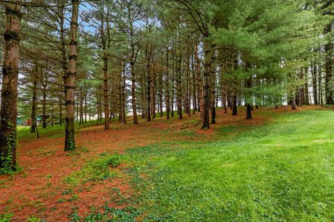 Tiny photo for 4129 Grove Church Road, Gambier, OH 43022 (MLS # 226014384)