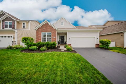 Homes For Sale - 6847 Olde Dutch Road<br/> Westerville, OH 43081