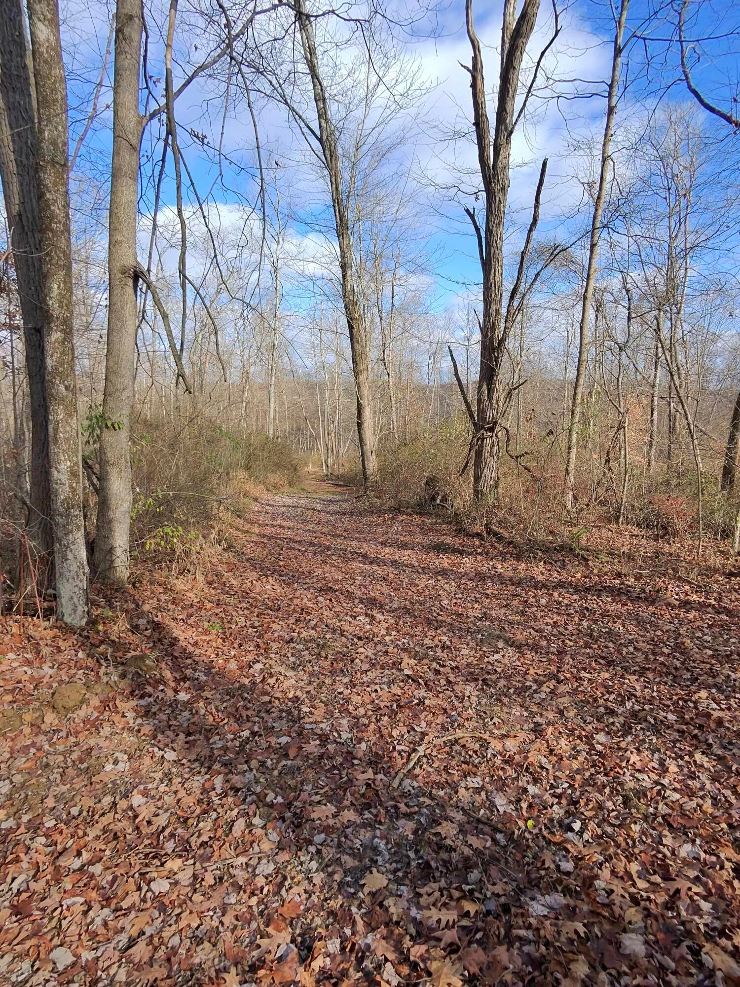 9614 Township Rd 57 #TRACT 2 AT SHERIDAN WOOD, Roseville, Ohio image 19