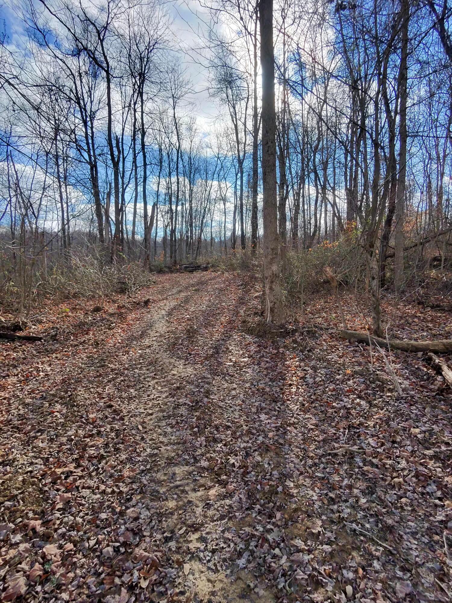9614 Township Rd 57 #TRACT 2 AT SHERIDAN WOOD, Roseville, Ohio image 16