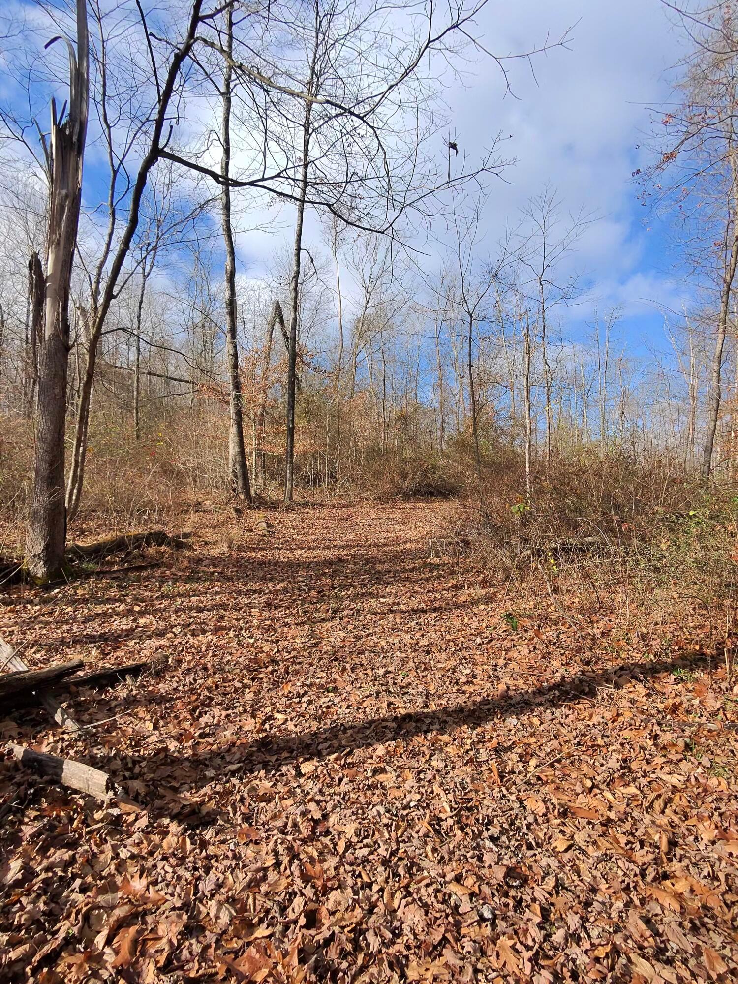 9614 Township Rd 57 #TRACT 2 AT SHERIDAN WOOD, Roseville, Ohio image 25