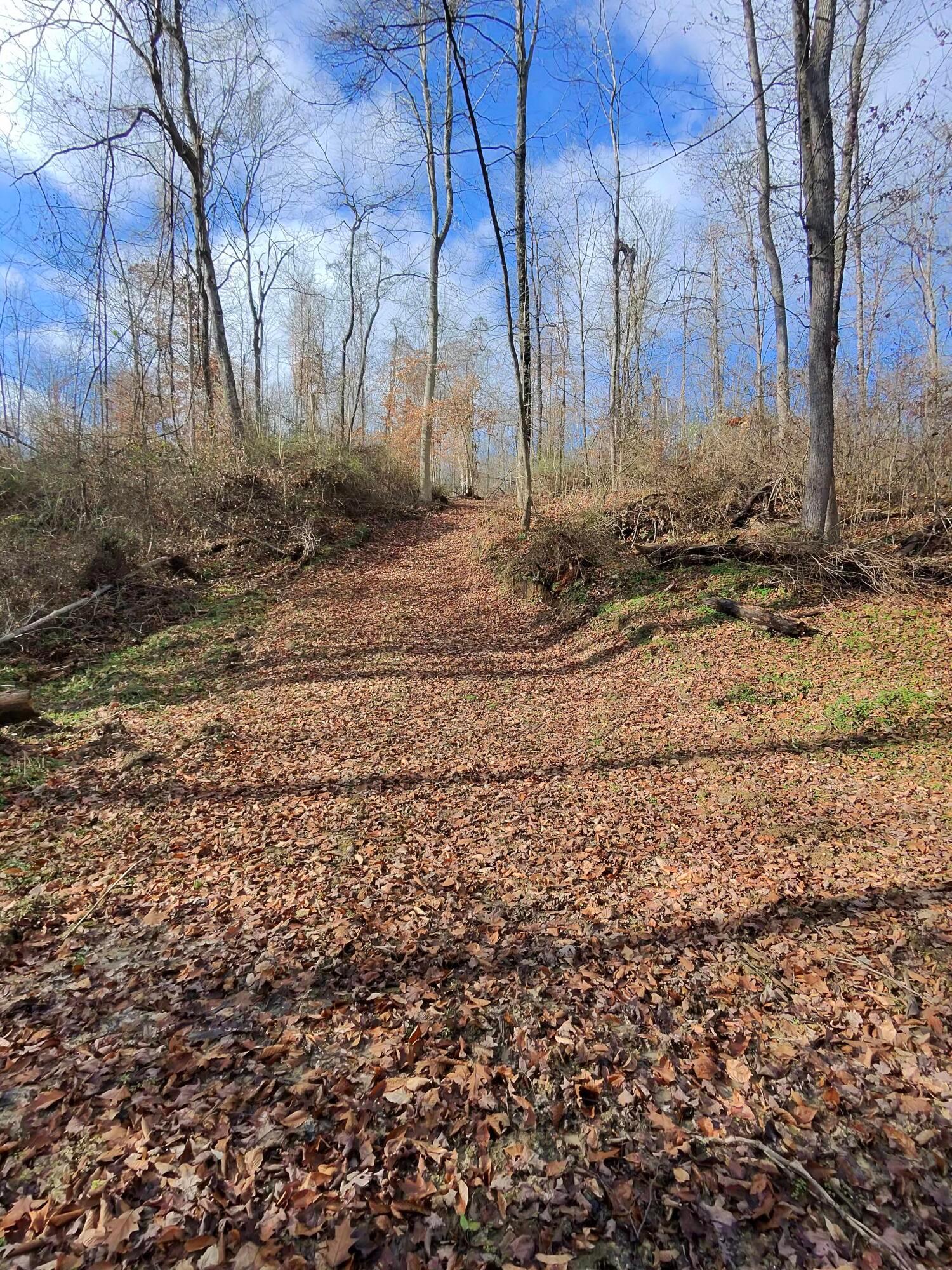 9614 Township Rd 57 #TRACT 2 AT SHERIDAN WOOD, Roseville, Ohio image 27