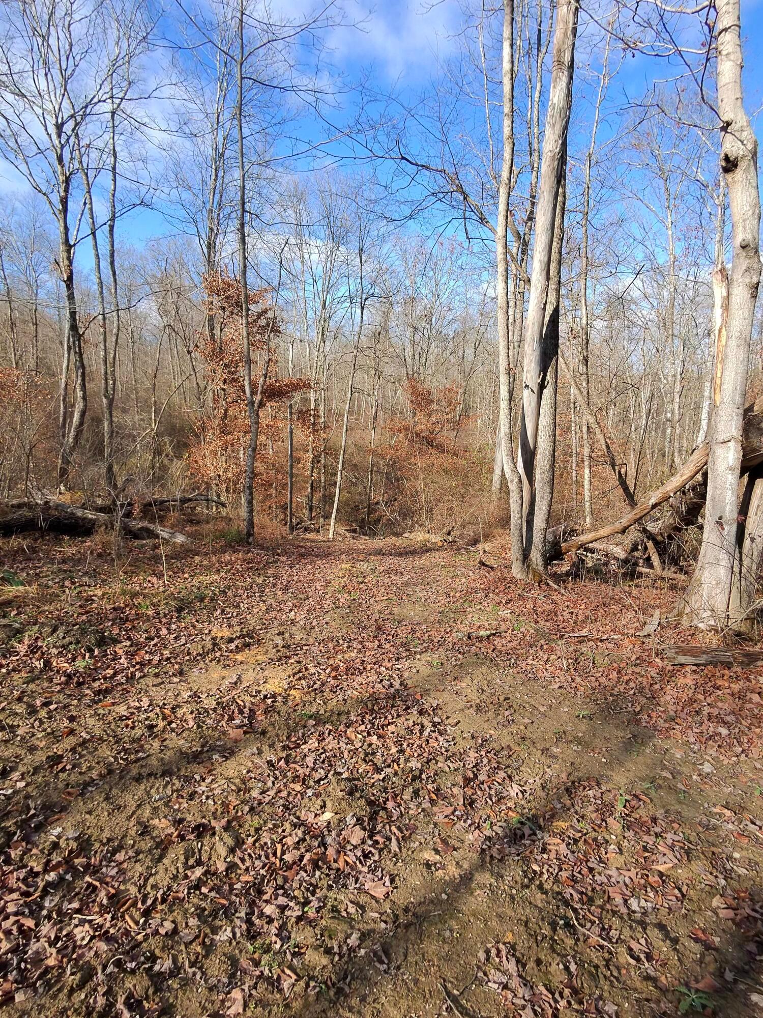 9614 Township Rd 57 #TRACT 2 AT SHERIDAN WOOD, Roseville, Ohio image 31