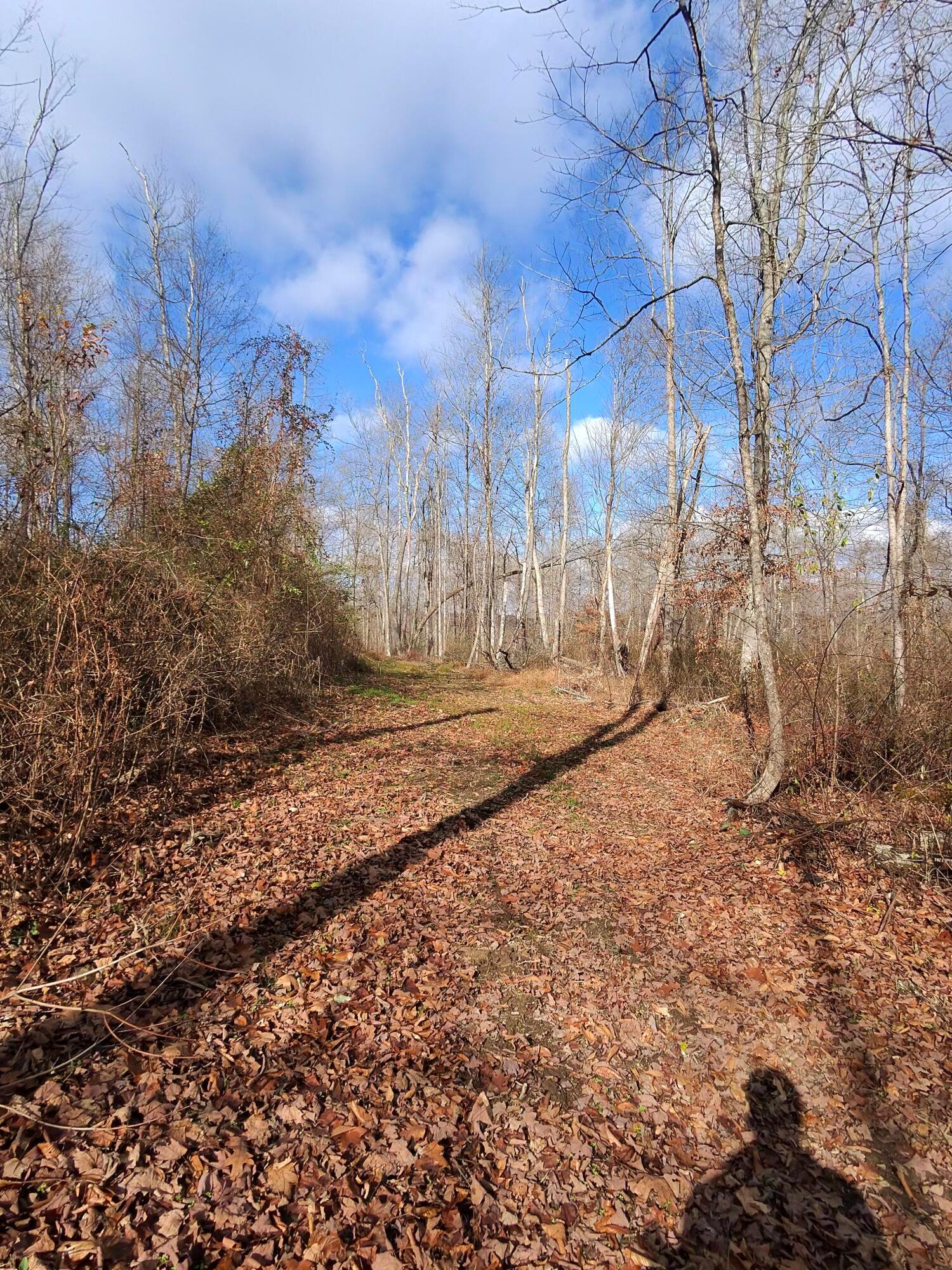 9614 Township Rd 57 #TRACT 2 AT SHERIDAN WOOD, Roseville, Ohio image 24
