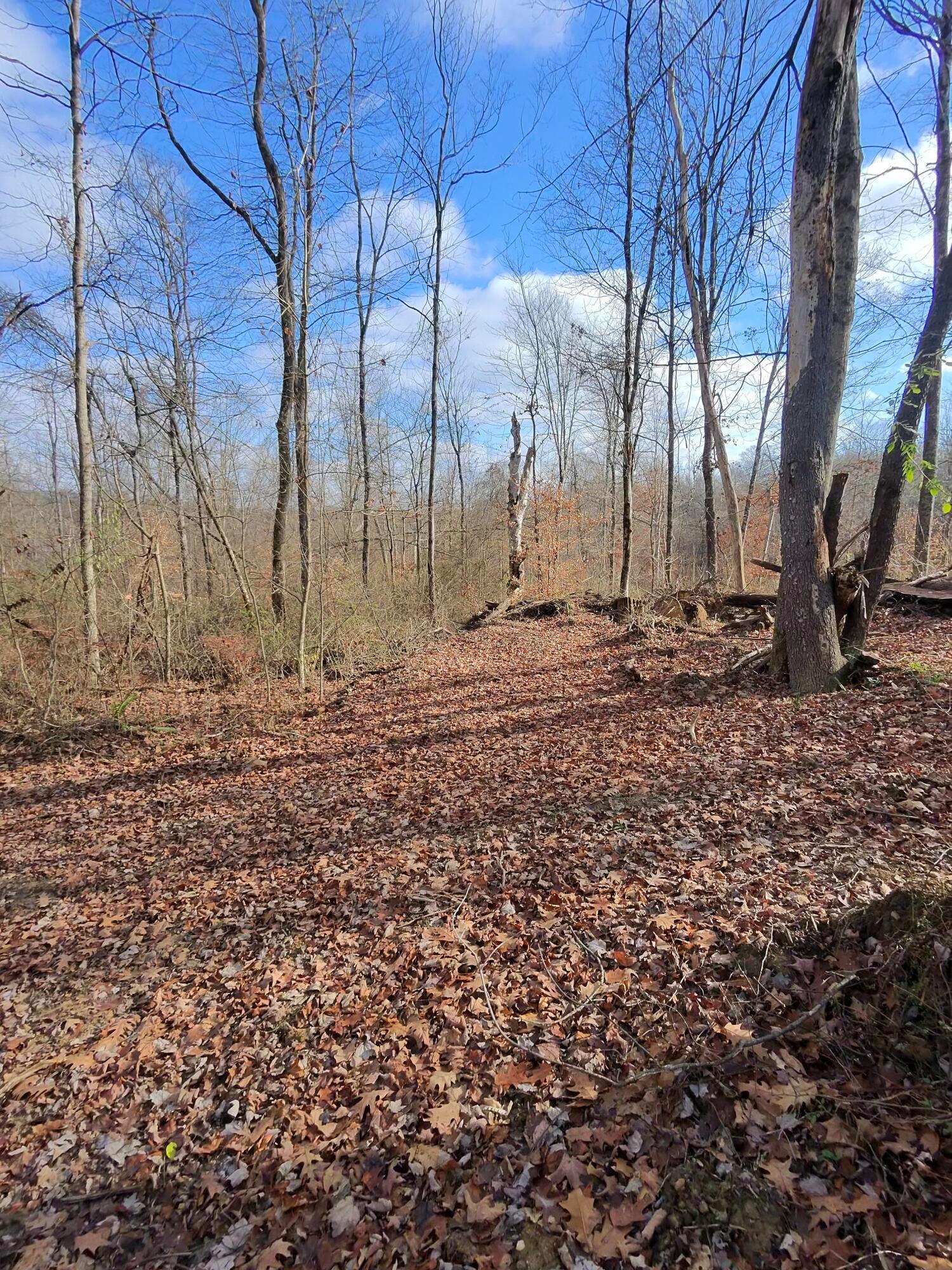 9614 Township Rd 57 #TRACT 2 AT SHERIDAN WOOD, Roseville, Ohio image 20