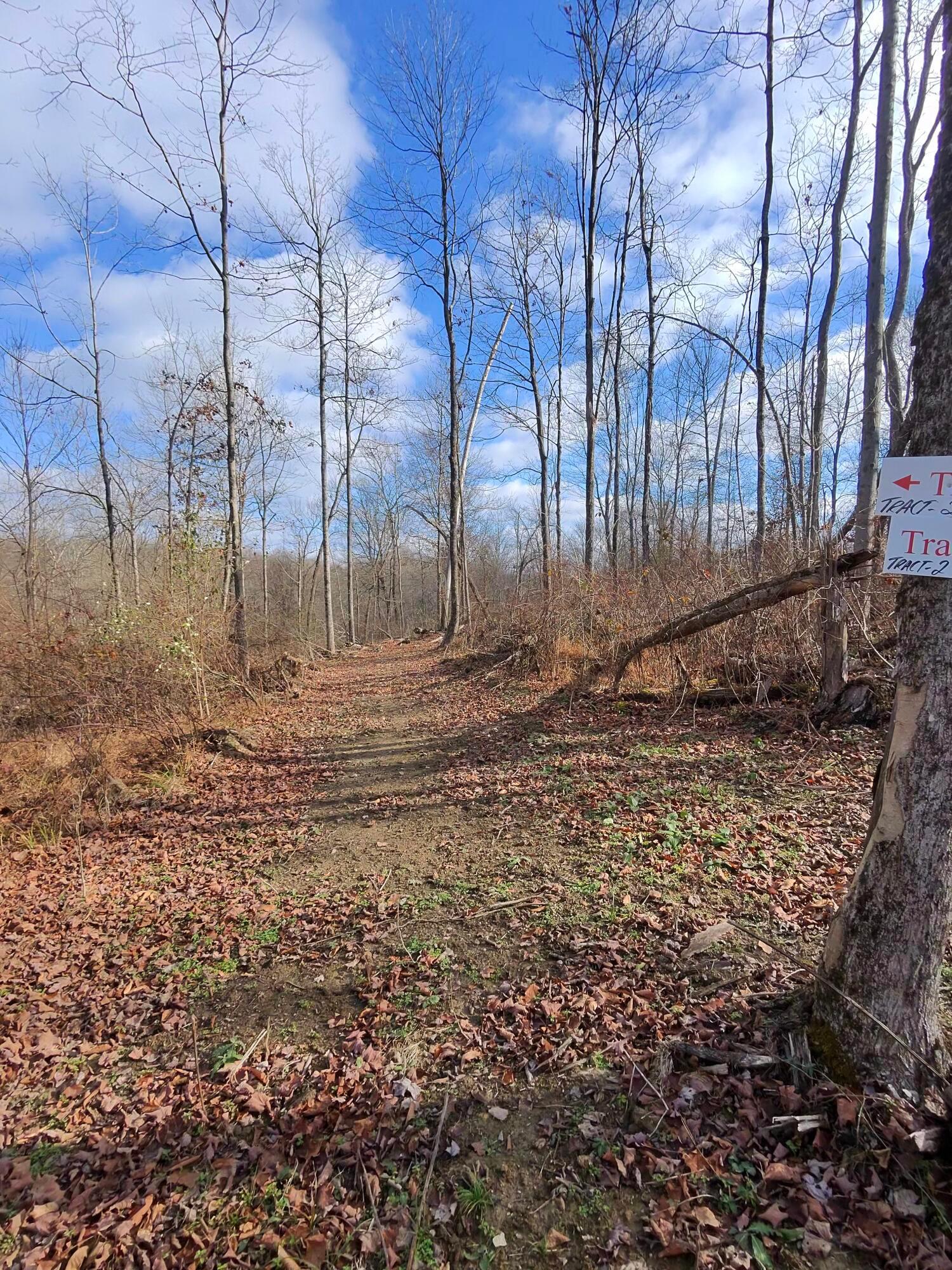 9614 Township Rd 57 #TRACT 2 AT SHERIDAN WOOD, Roseville, Ohio image 30