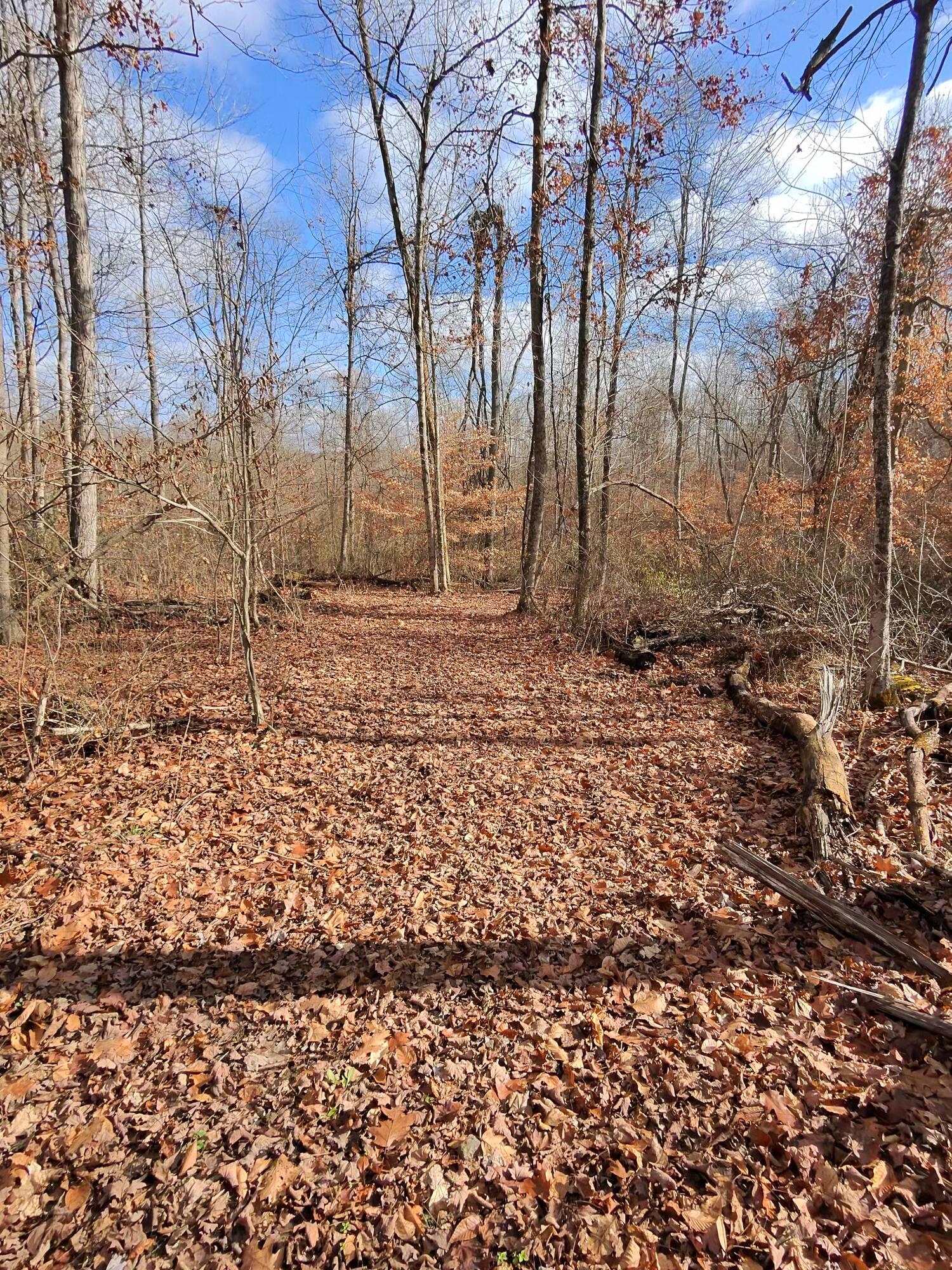 9614 Township Rd 57 #TRACT 2 AT SHERIDAN WOOD, Roseville, Ohio image 2