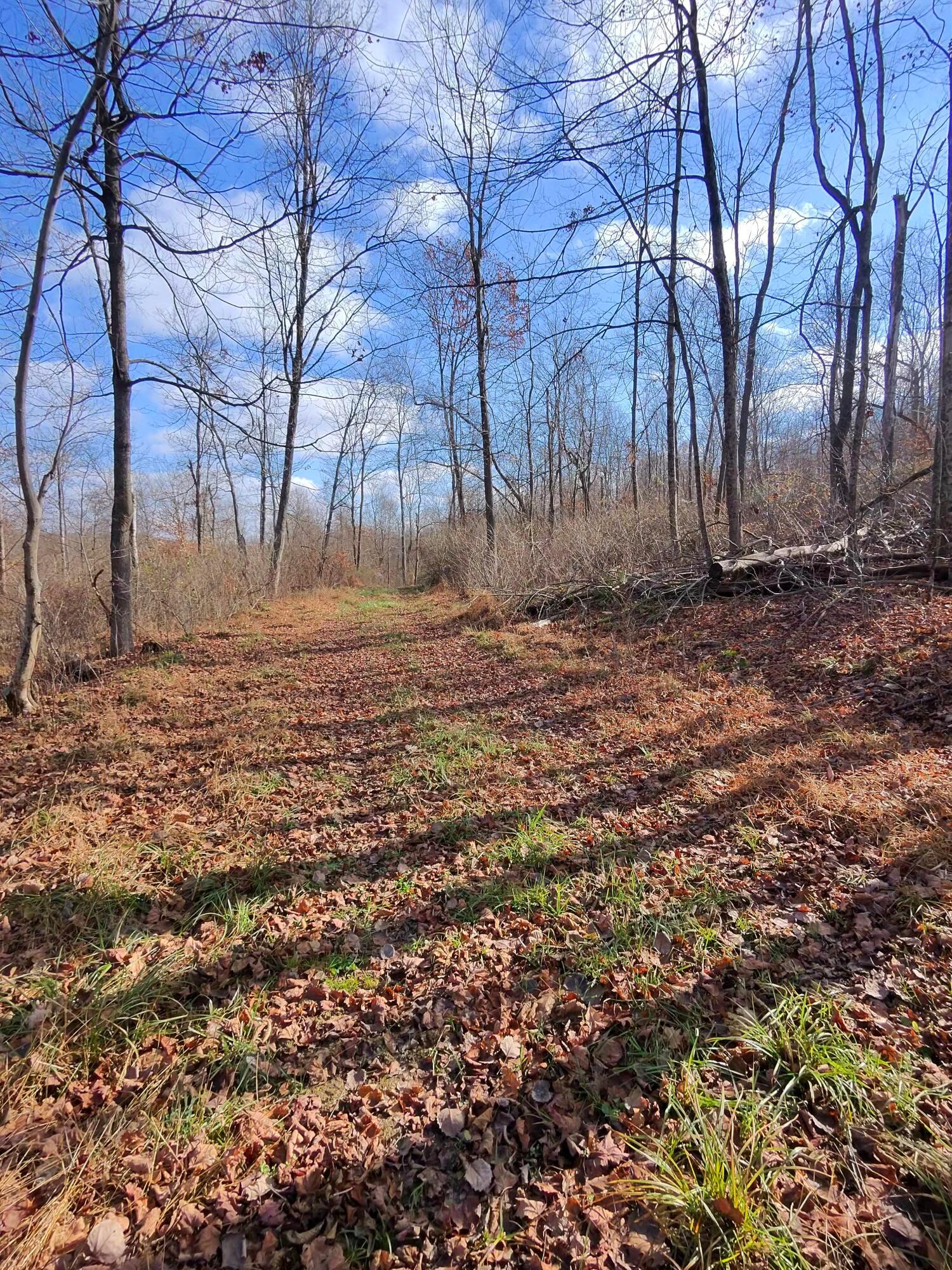 9614 Township Rd 57 #TRACT 2 AT SHERIDAN WOOD, Roseville, Ohio image 34
