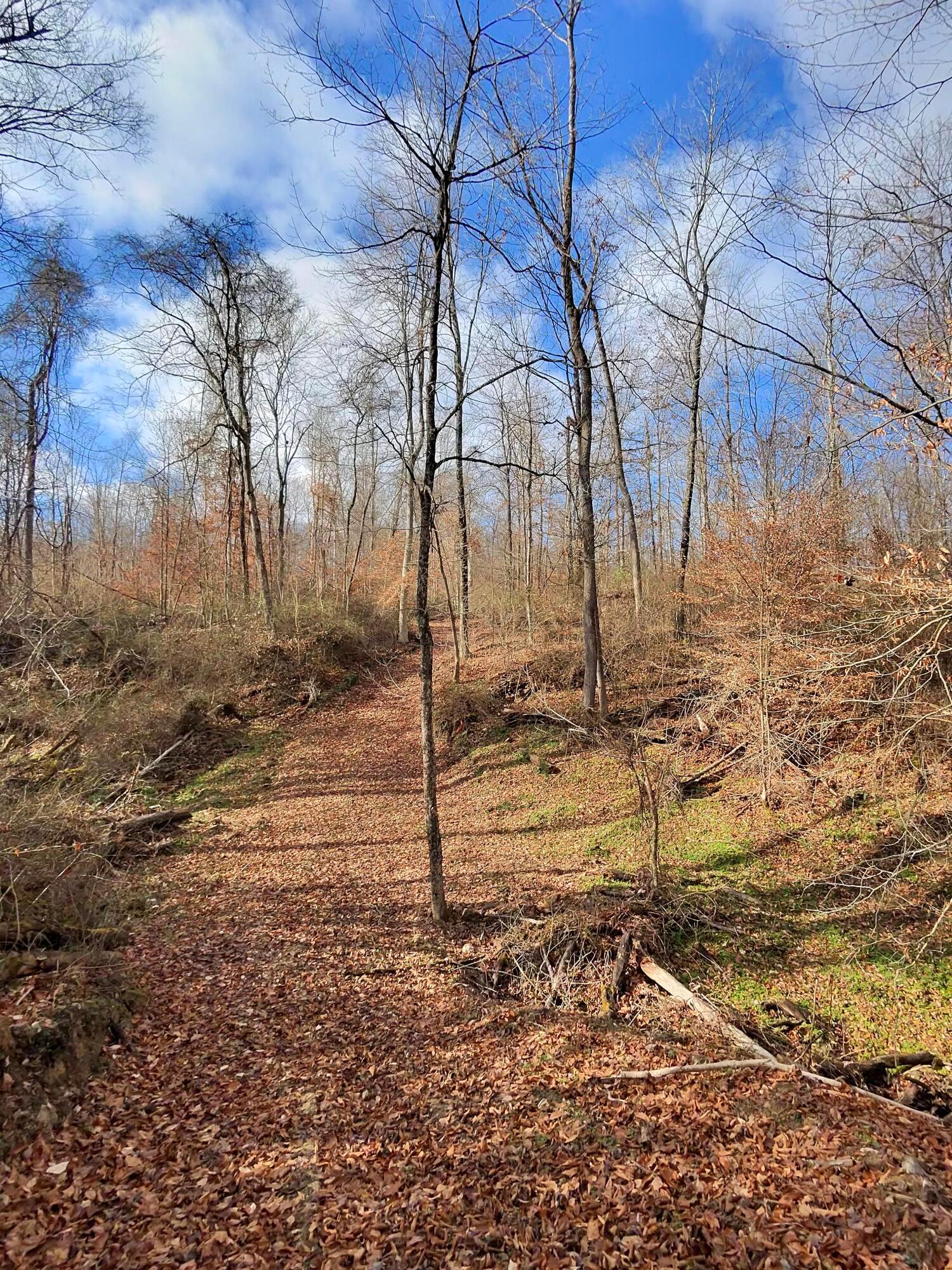 9614 Township Rd 57 #TRACT 2 AT SHERIDAN WOOD, Roseville, Ohio image 1