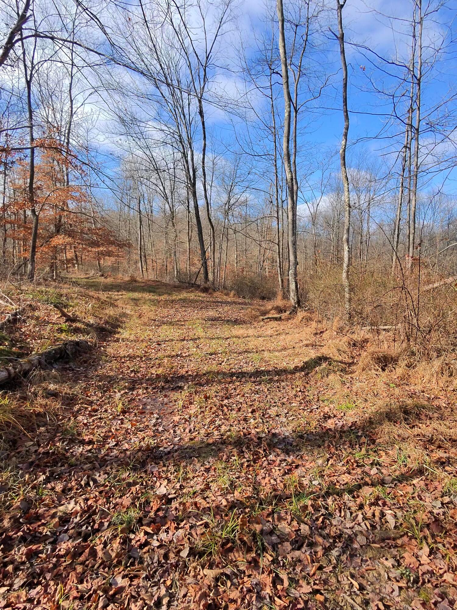 9614 Township Rd 57 #TRACT 2 AT SHERIDAN WOOD, Roseville, Ohio image 33