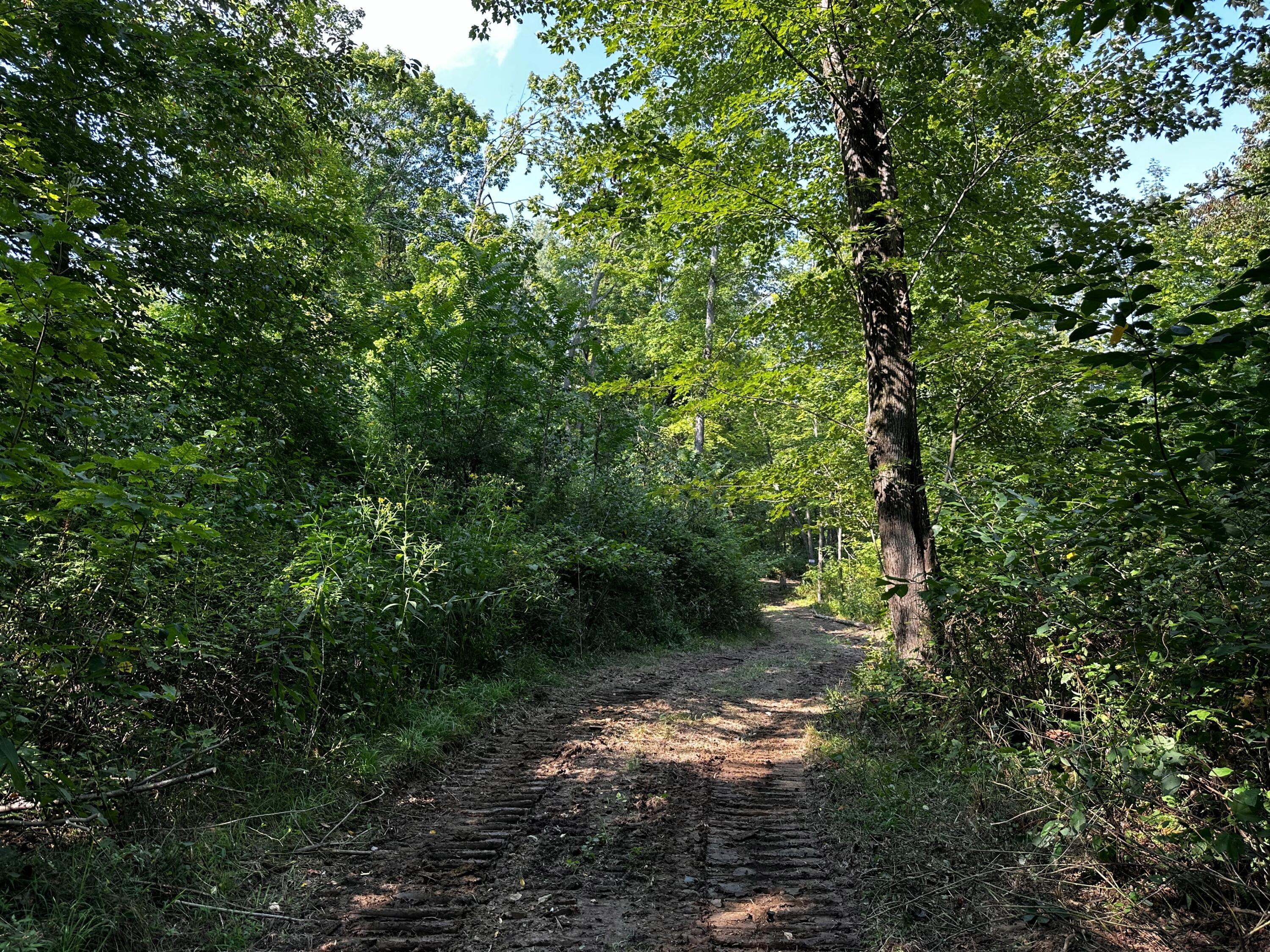 9614 Township Rd 57 #TRACT 2 AT SHERIDAN WOOD, Roseville, Ohio image 14
