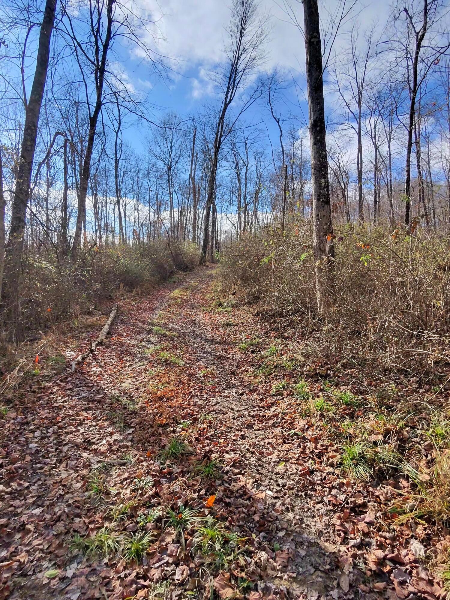 9614 Township Rd 57 #TRACT 2 AT SHERIDAN WOOD, Roseville, Ohio image 22
