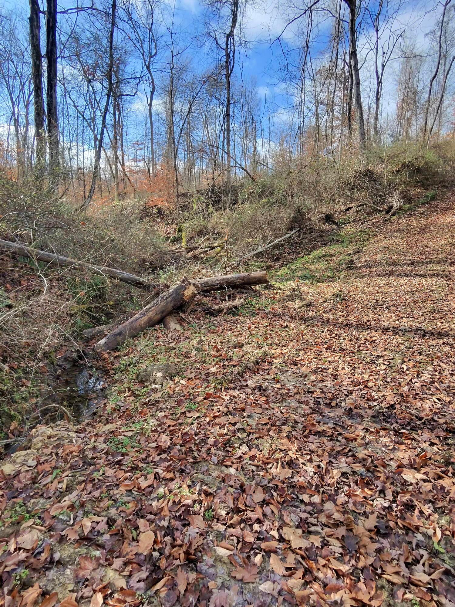 9614 Township Rd 57 #TRACT 2 AT SHERIDAN WOOD, Roseville, Ohio image 28
