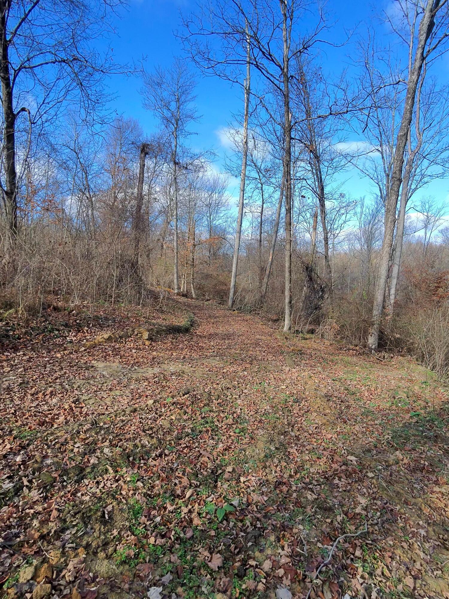 9614 Township Rd 57 #TRACT 2 AT SHERIDAN WOOD, Roseville, Ohio image 37