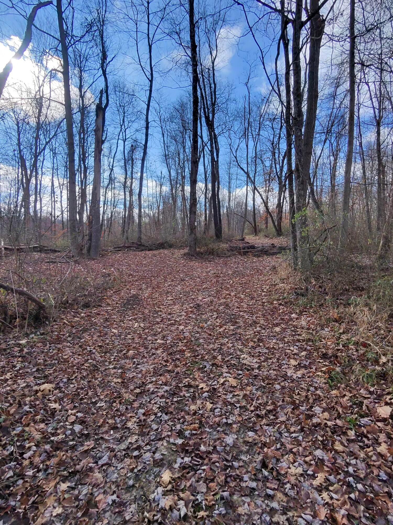 9614 Township Rd 57 #TRACT 2 AT SHERIDAN WOOD, Roseville, Ohio image 21