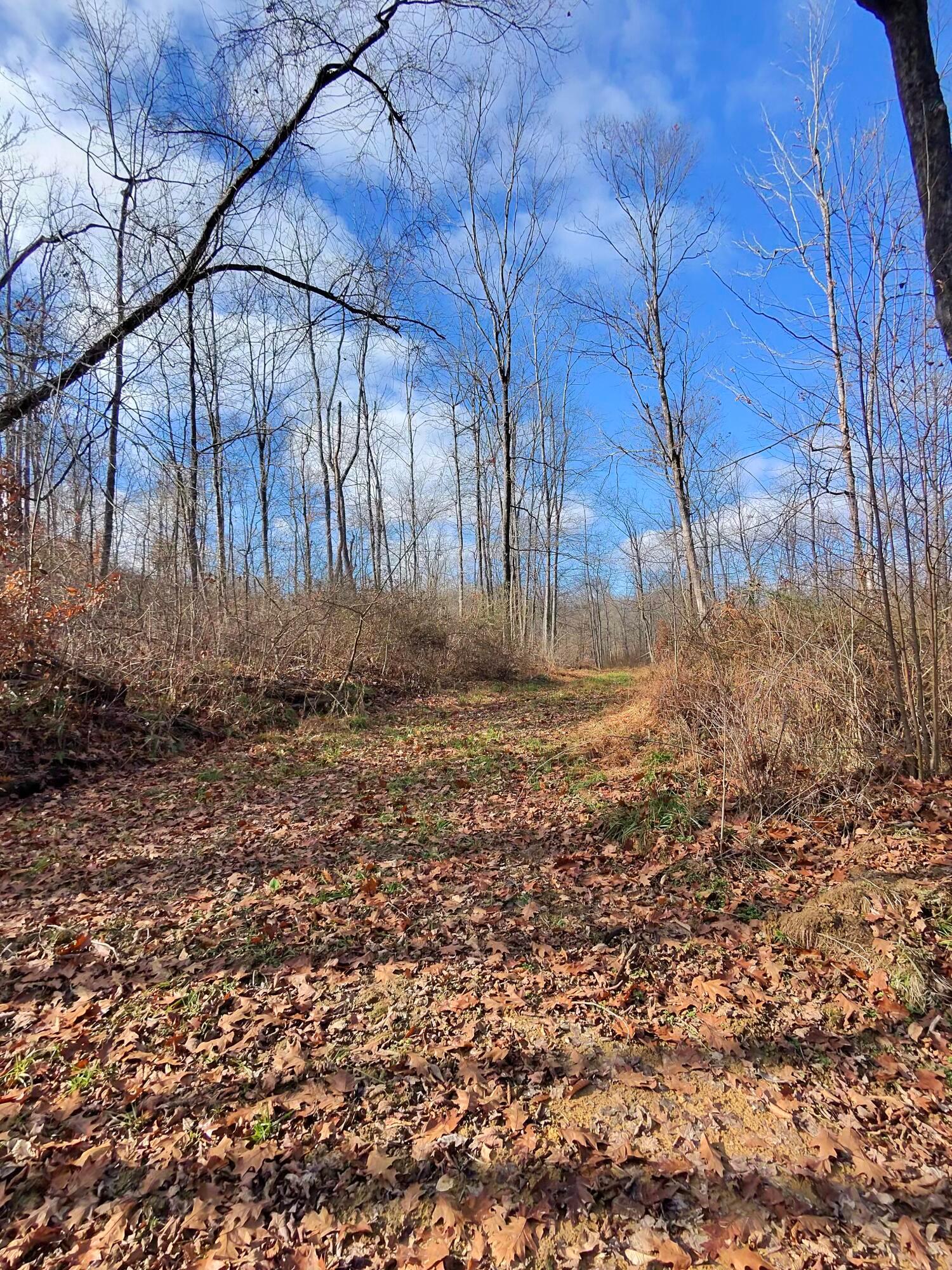9614 Township Rd 57 #TRACT 2 AT SHERIDAN WOOD, Roseville, Ohio image 35