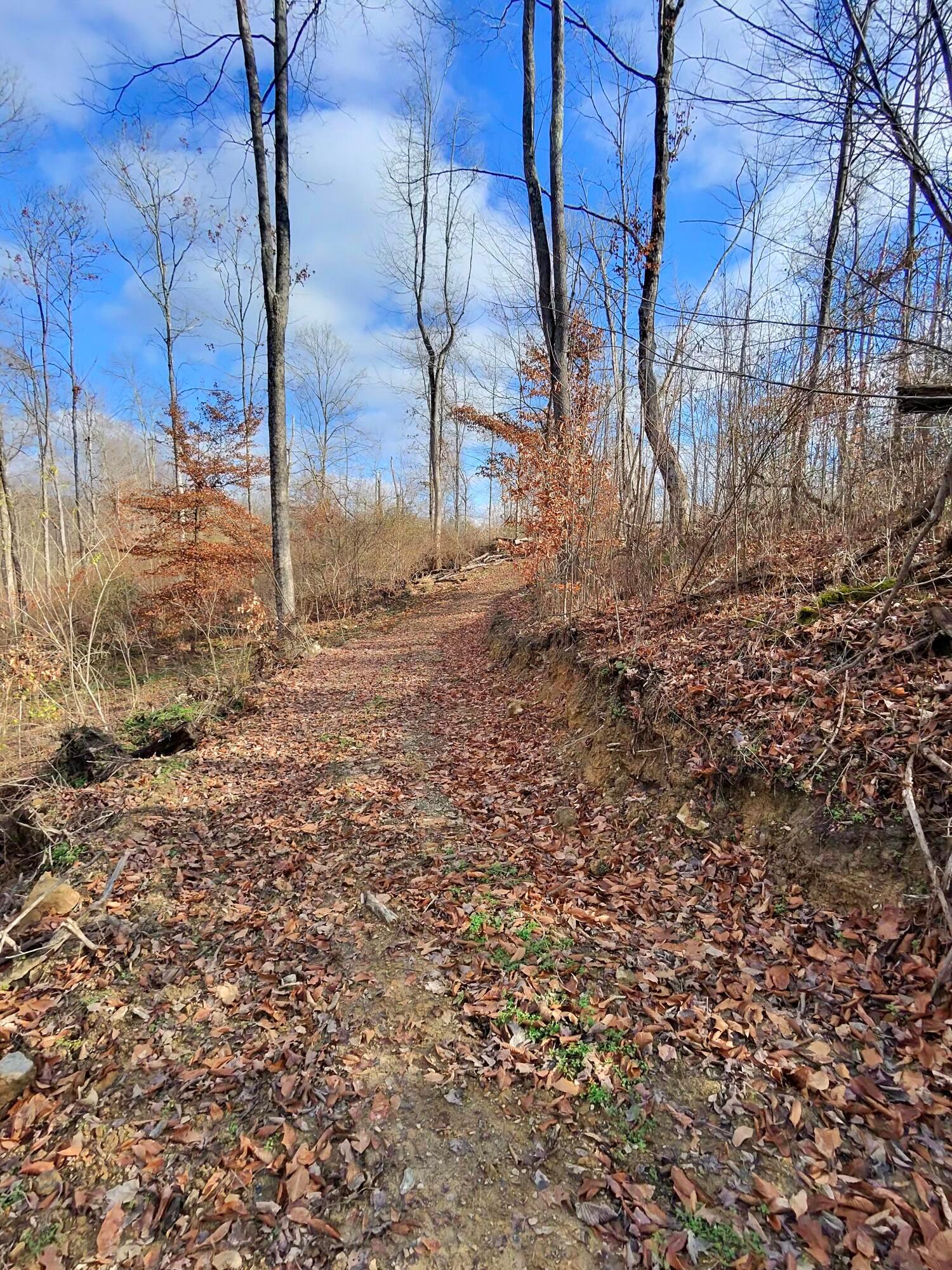 9614 Township Rd 57 #TRACT 2 AT SHERIDAN WOOD, Roseville, Ohio image 3