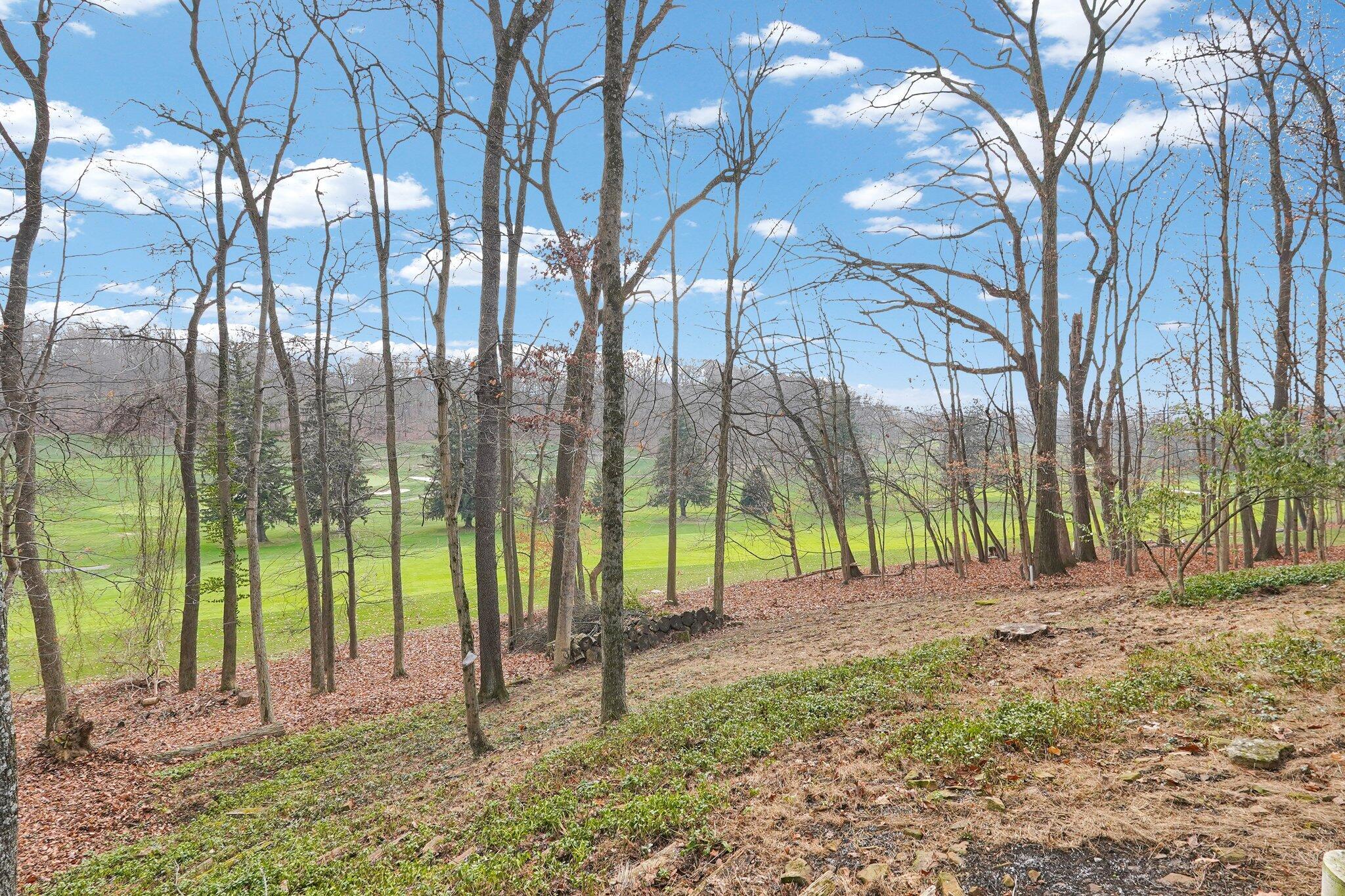 228 Pinehurst Drive, Granville, Ohio image 32
