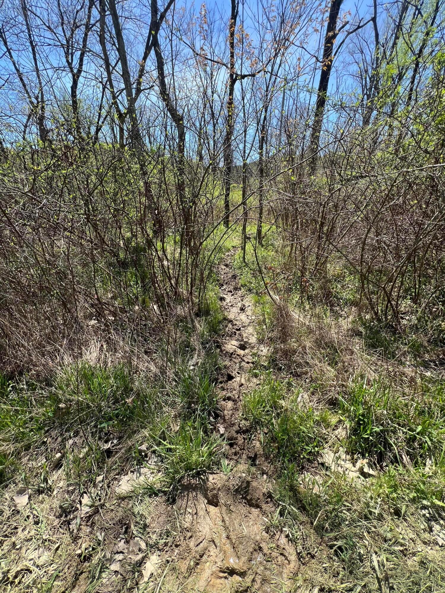 Kenton Road, Bellville, Ohio image 34