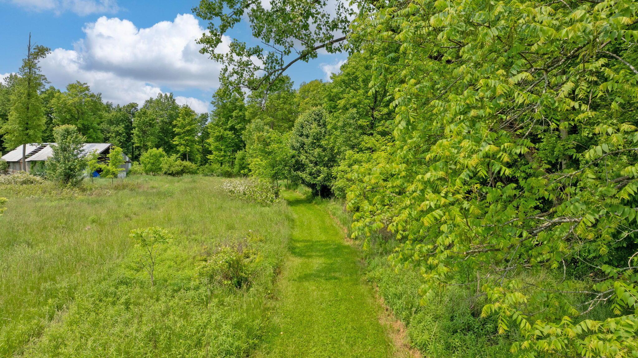 7620 Township Road 58 Road, Mount Gilead, Ohio image 39