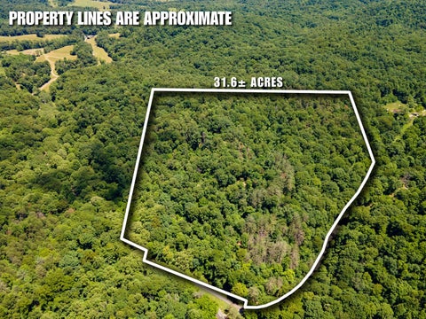 Vacant Land For Sale - Long Hollow Road<br/> Meigs County, Pomeroy, OH 45769