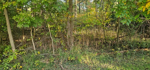 Photo of 0 Dogwood Road NE, Thornville, OH 43076 (MLS # 226038489)