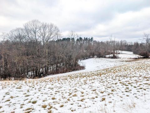 Vacant Land For Sale - 0 TRACT 12 Tr 233<br/> Noble County, Summerfield, OH 43788