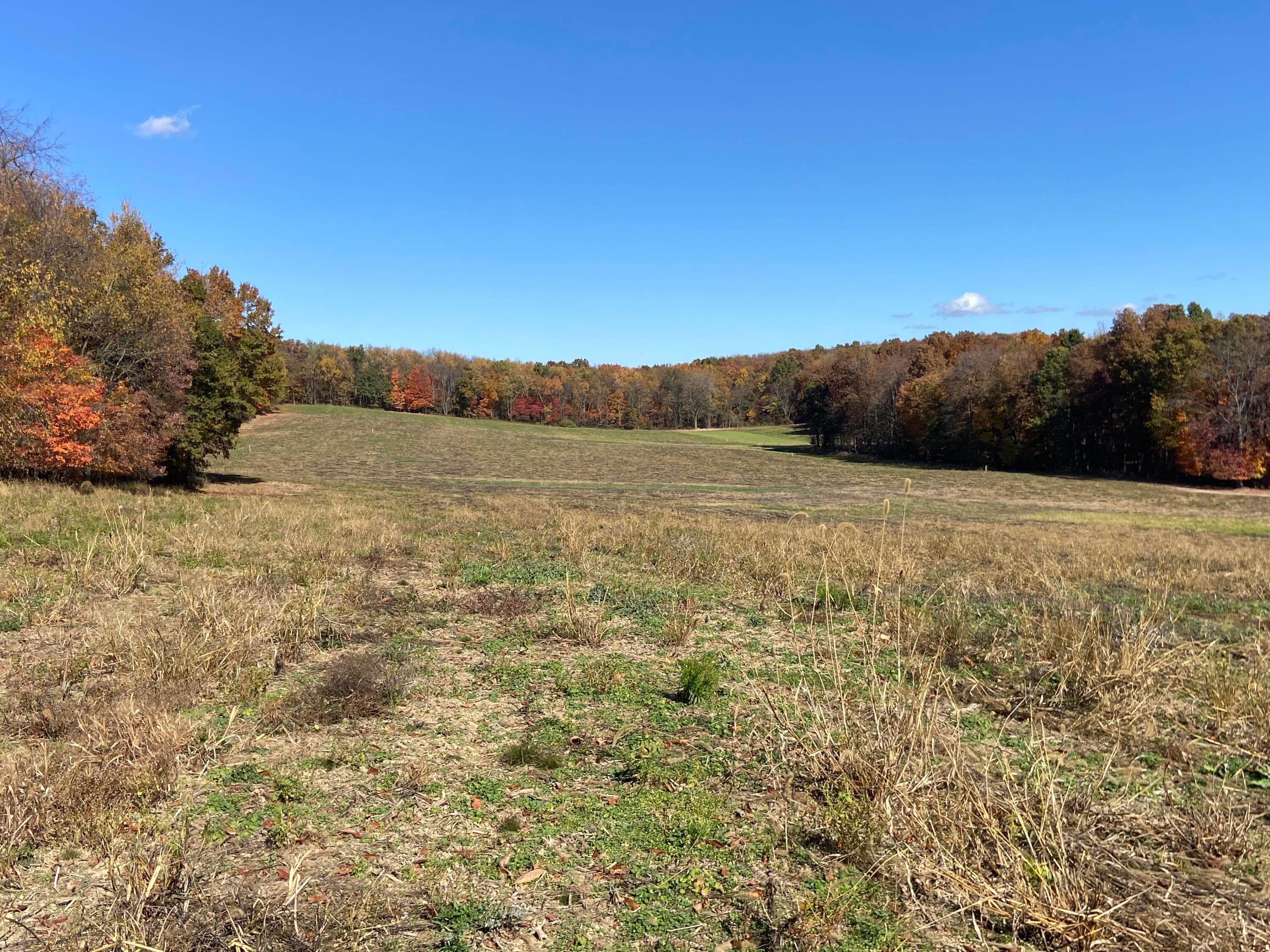 Dog Hollow Road #LOT 8, Saint Louisville, Ohio image 25
