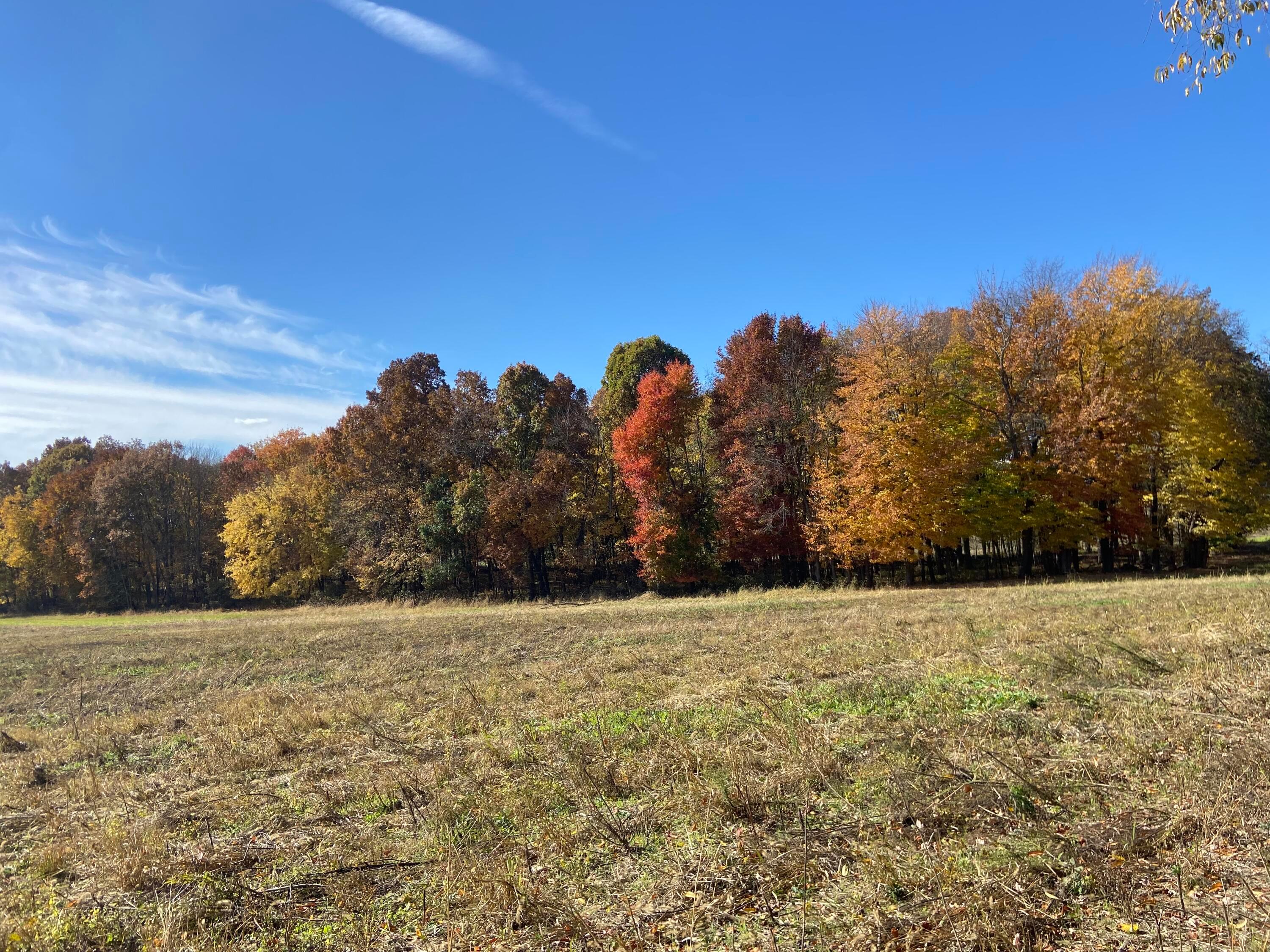 Dog Hollow Road #LOT 8, Saint Louisville, Ohio image 24