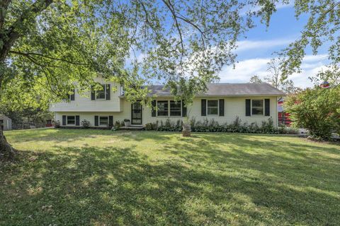Photo of 9240 Sycamore Road, Mount Vernon, OH 43050 (MLS # 225033901)