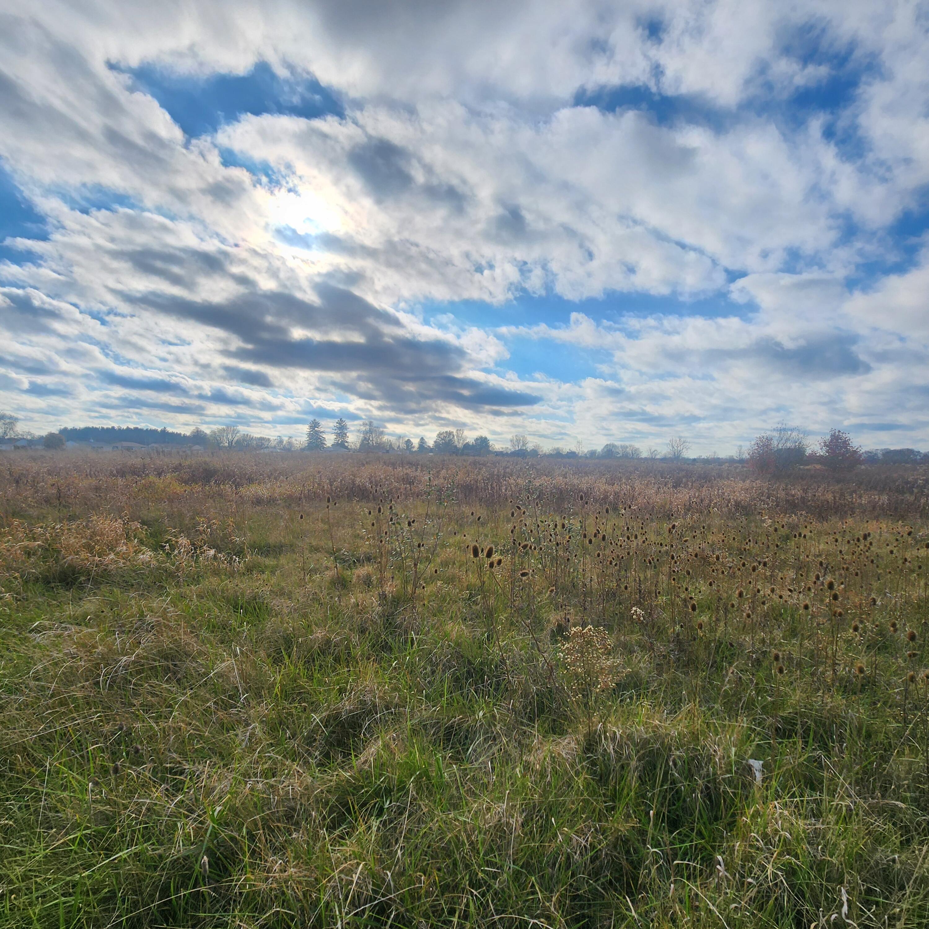 Stetzer Road #PER AC, Bucyrus, Ohio image 5