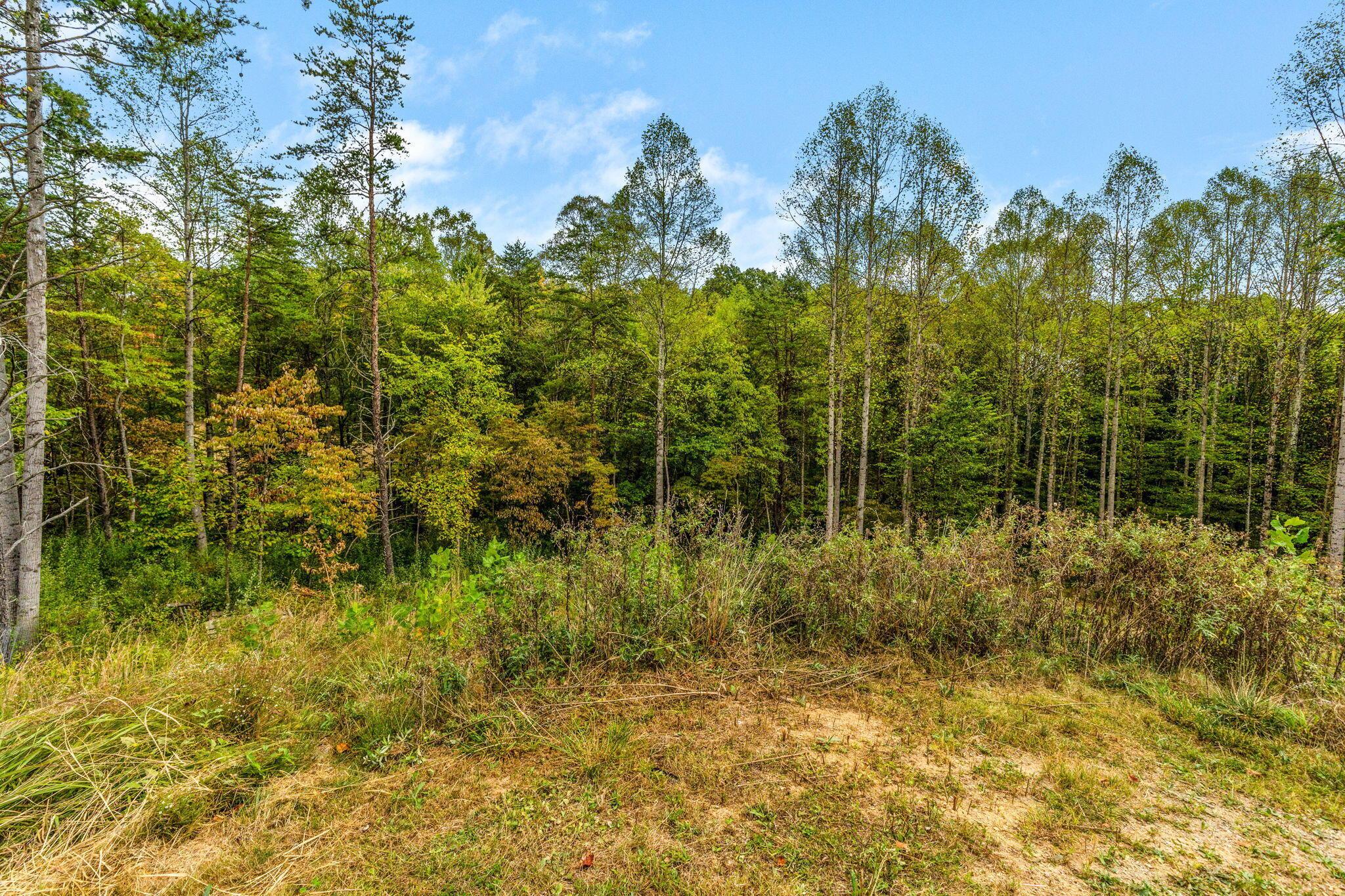 13427 Oh-374, Rockbridge, Ohio image 47