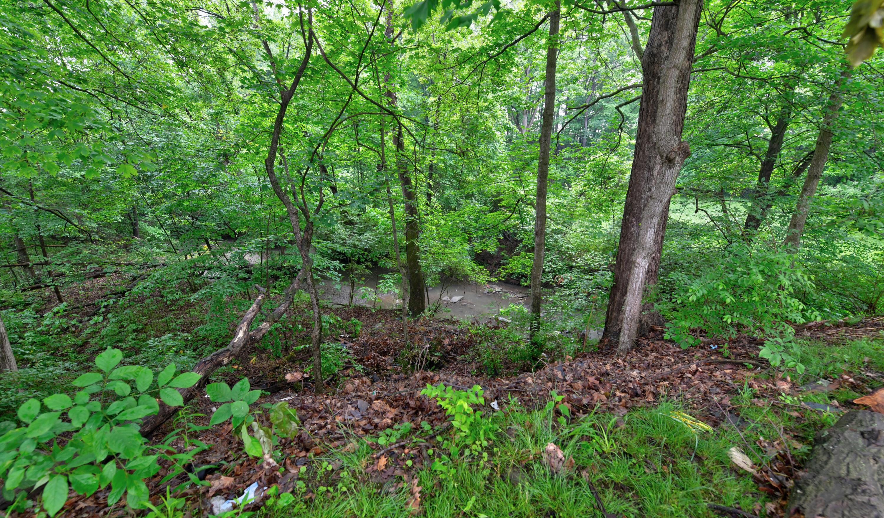 2474 Mecca Road, Columbus, Ohio image 25