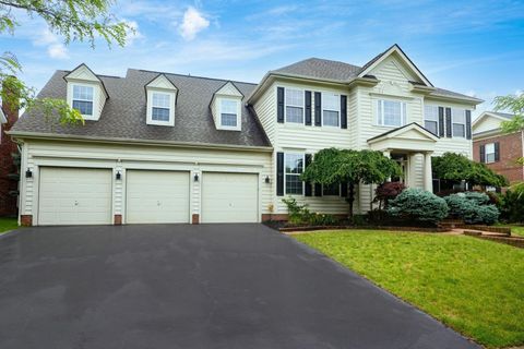 MLS: 225010006