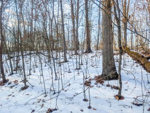 Vacant Land For Sale - 0 TRACT 16 Ch 59<br/> Cutler, OH 45724