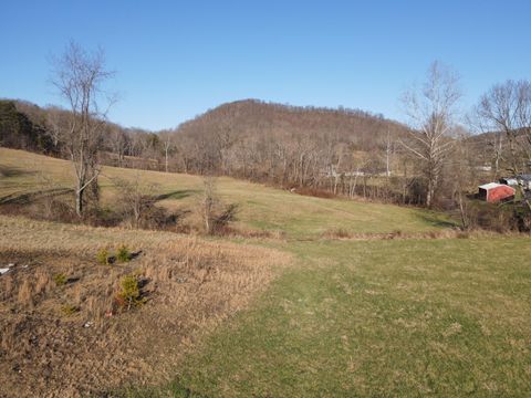 Vacant Land For Sale - Millers Run-fallen Timber Road<br/> Lucasville, OH 45648