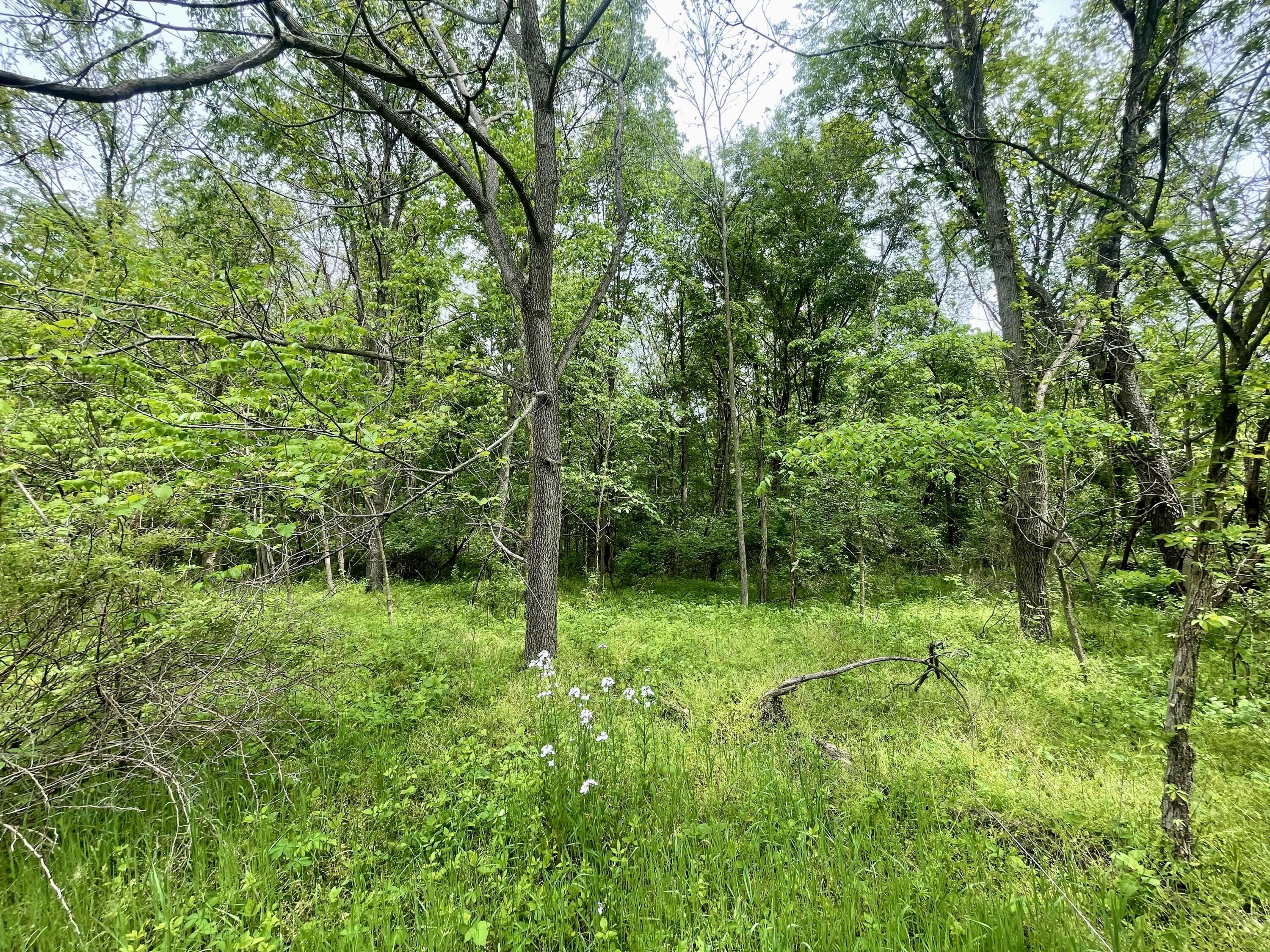 Stickle Road, Saint Louisville, Ohio image 6