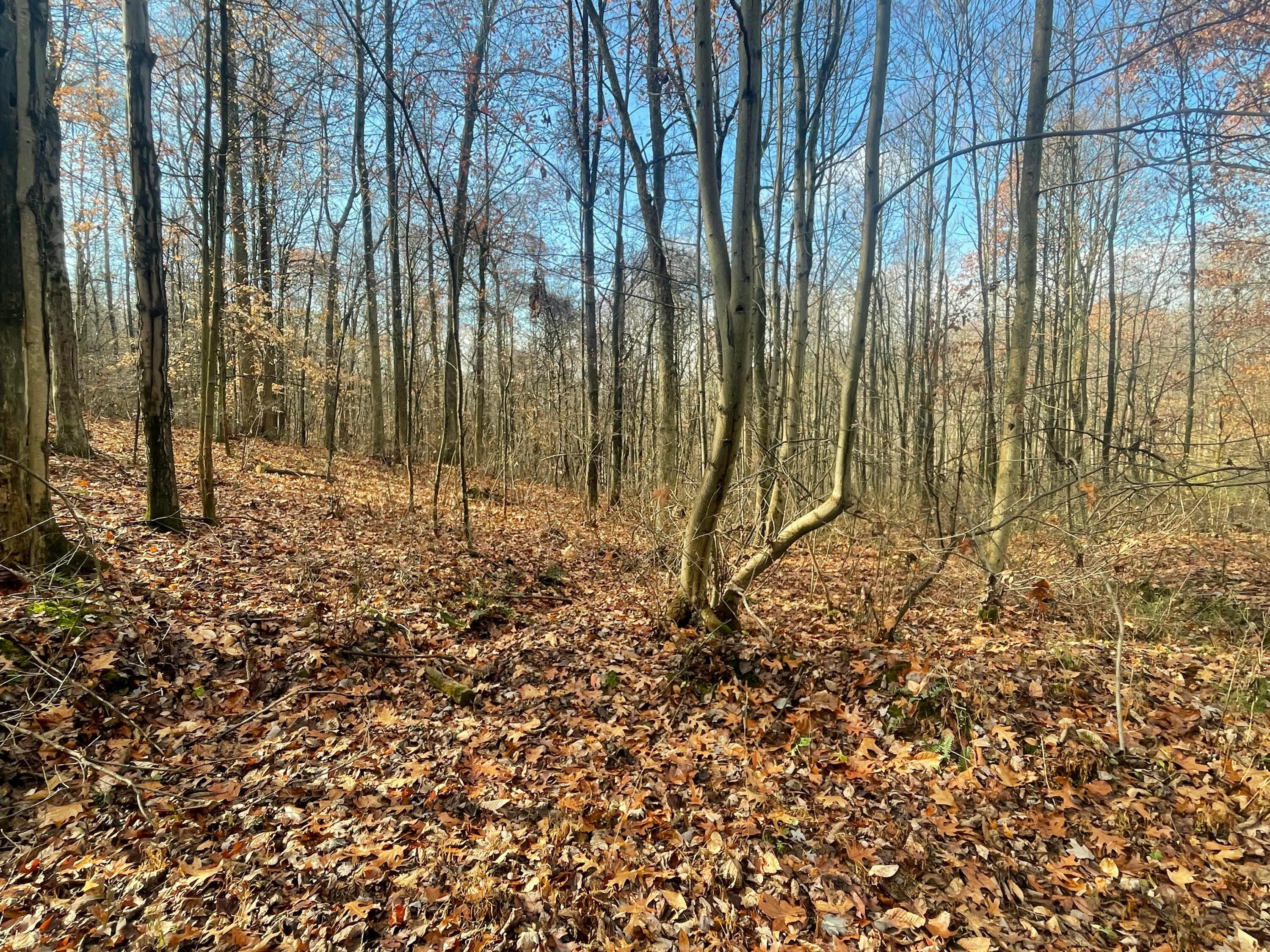8400 Euga Road, Newcomerstown, Ohio image 3