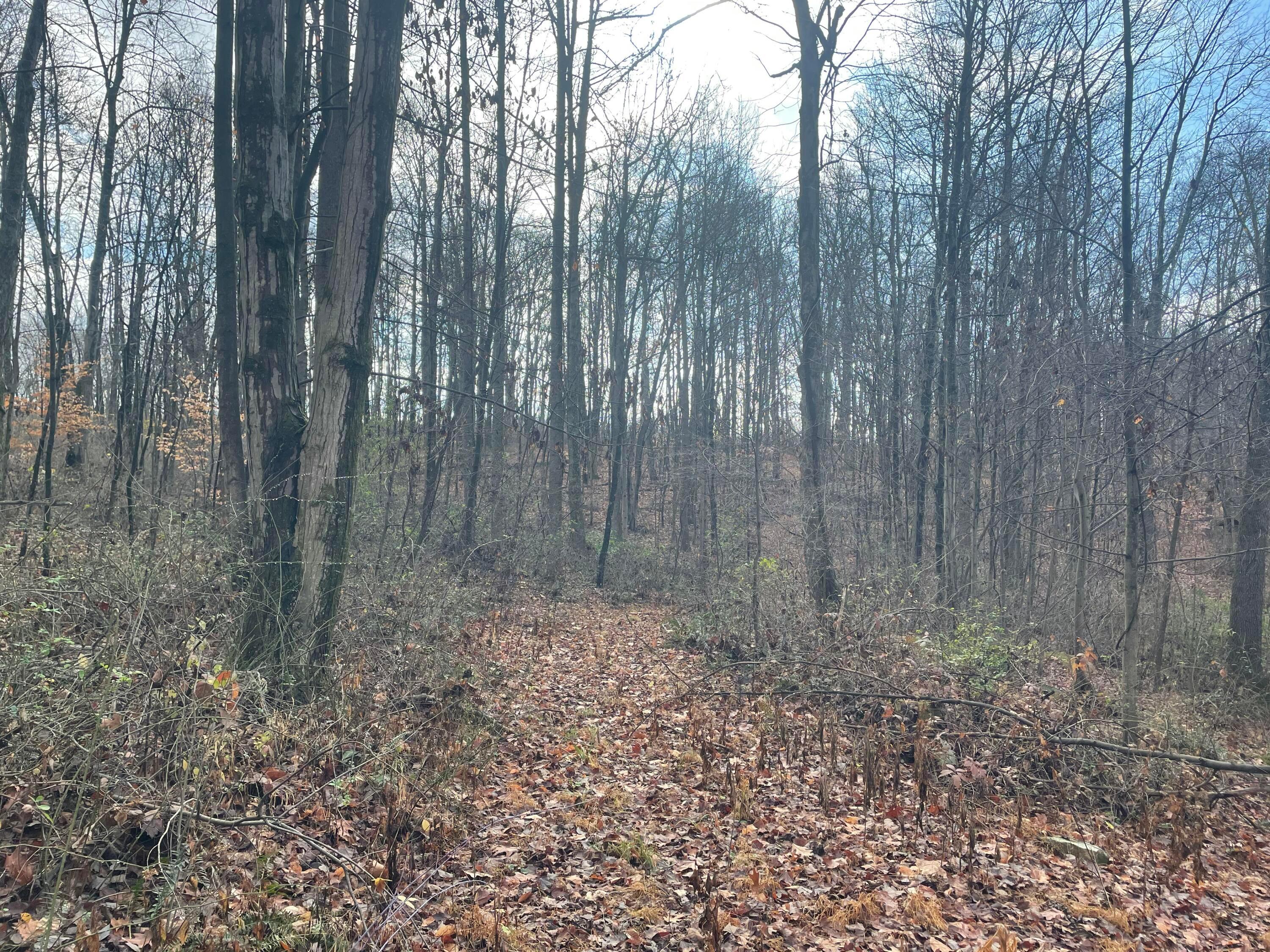 8400 Euga Road, Newcomerstown, Ohio image 4