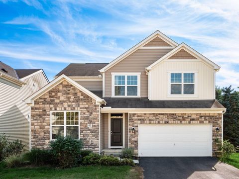 Photo of 45 Gold Meadow Drive, Lewis Center, OH 43035 (MLS # 225038347)