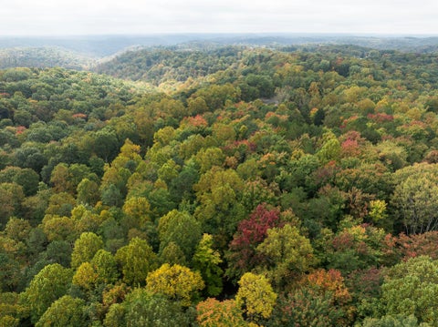 Tiny photo for 20554 Thompson Ridge Road, Laurelville, OH 43135 (MLS # 226039049)